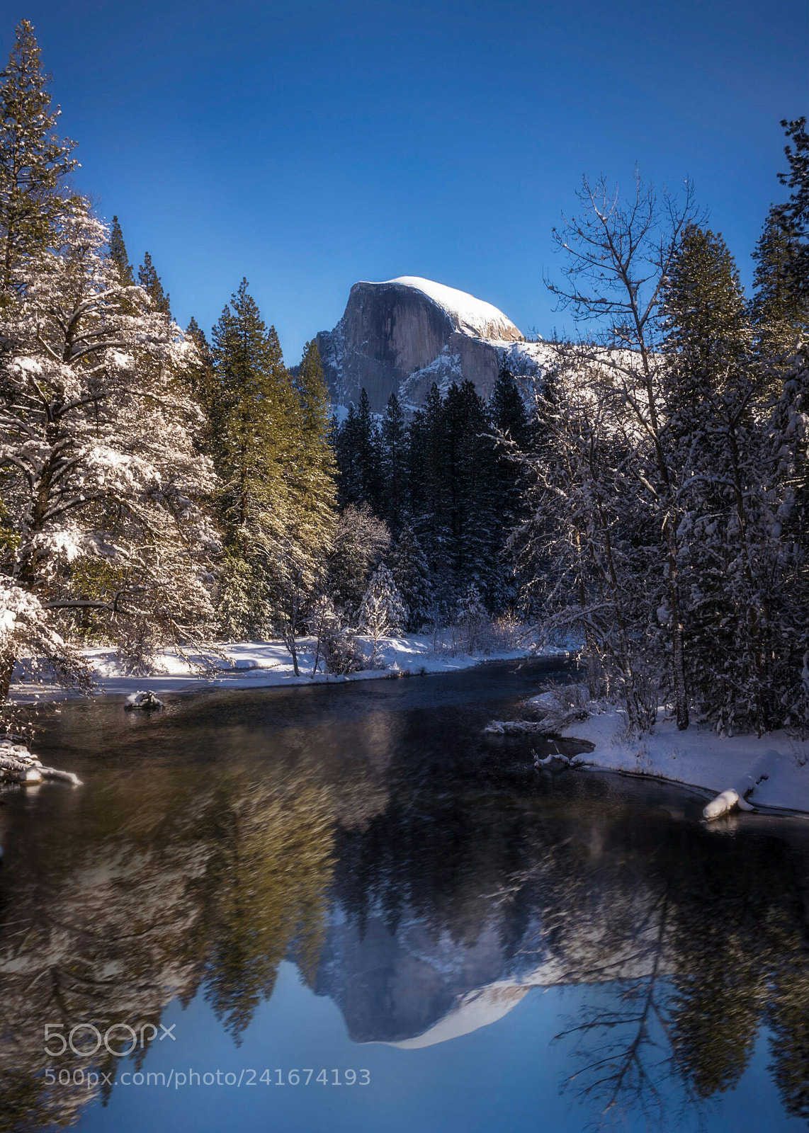 Nikon D800 sample photo. Reflection of the half photography