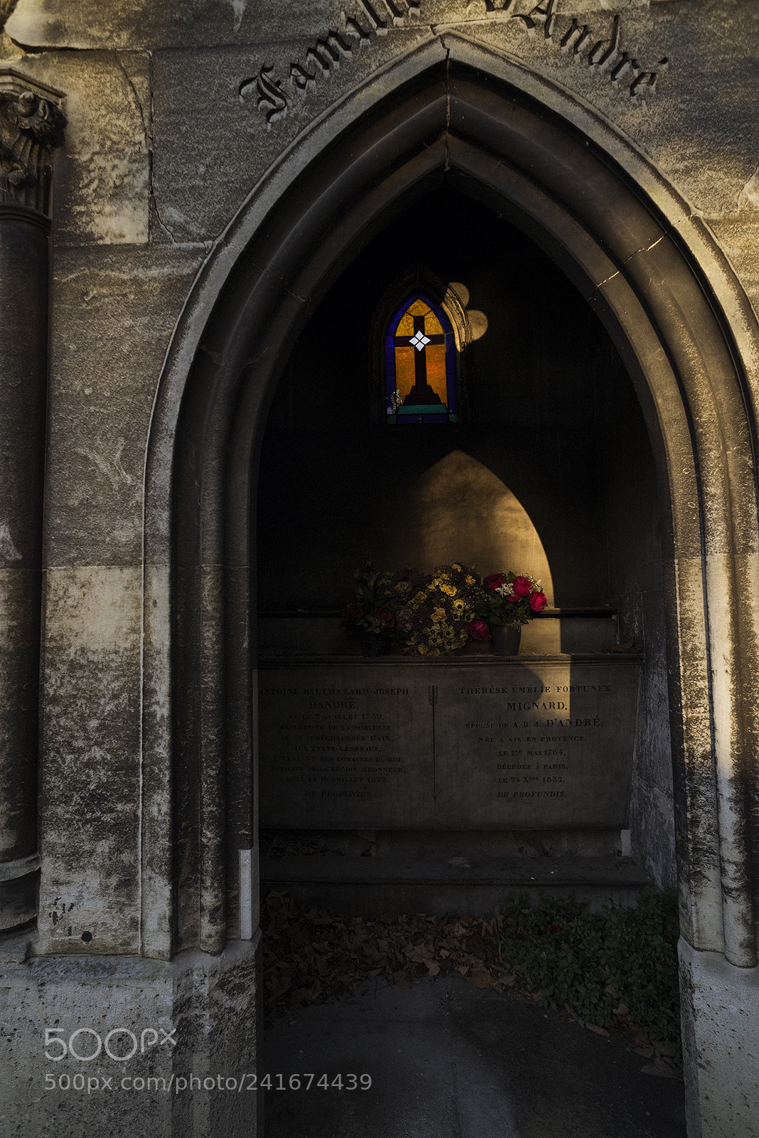 Nikon D600 sample photo. Père lachaise, paris photography