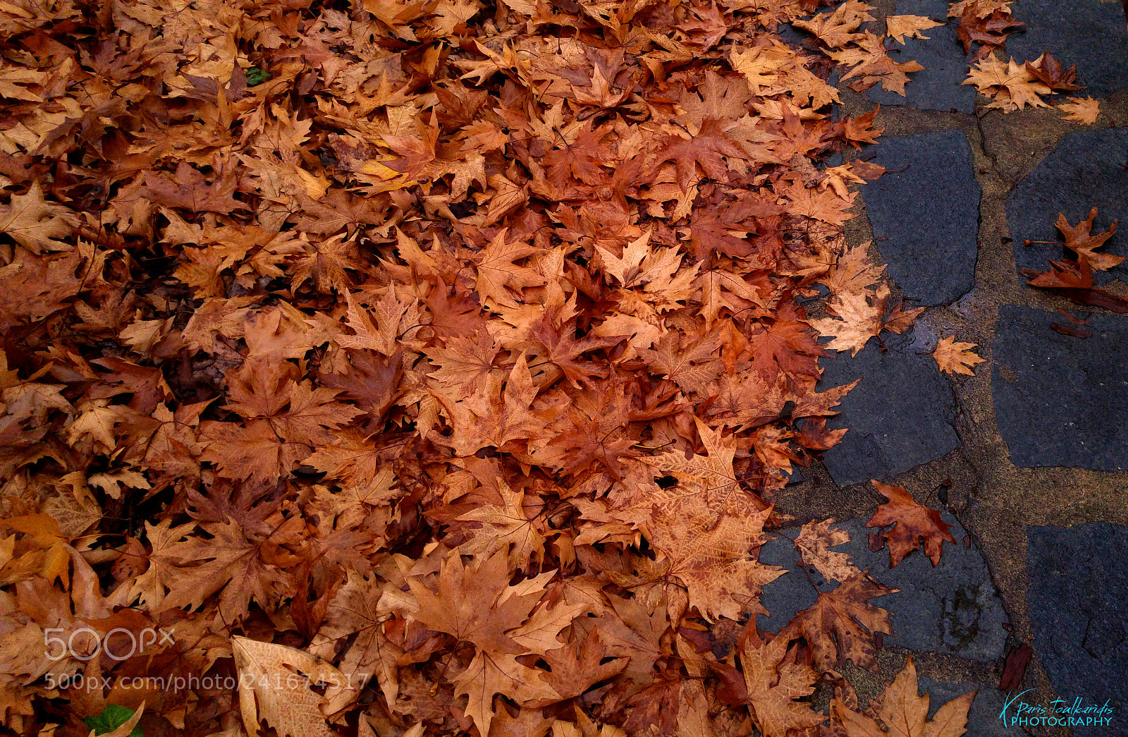 LG G4 sample photo. Shades of orange photography
