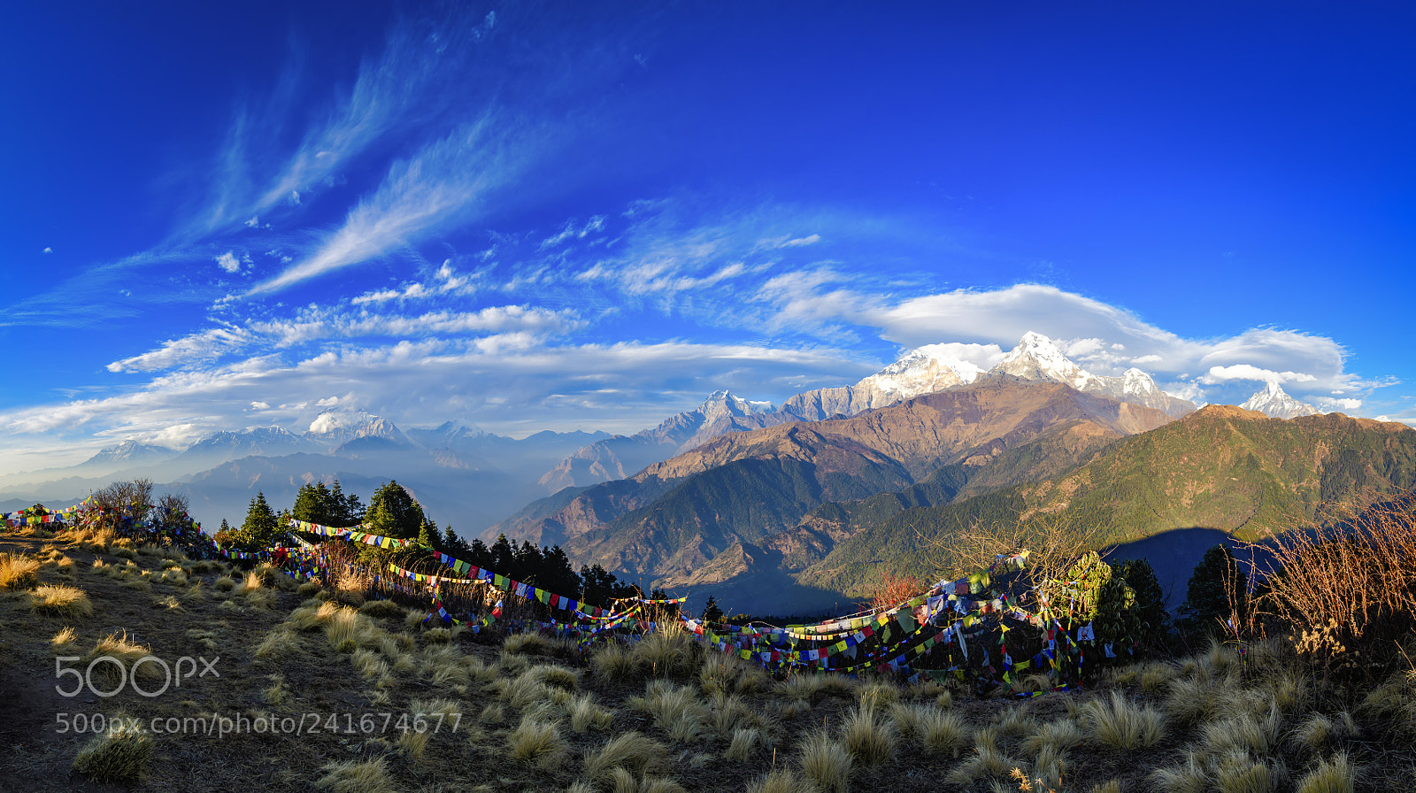 Nikon D500 sample photo. Poon hill nepal photography