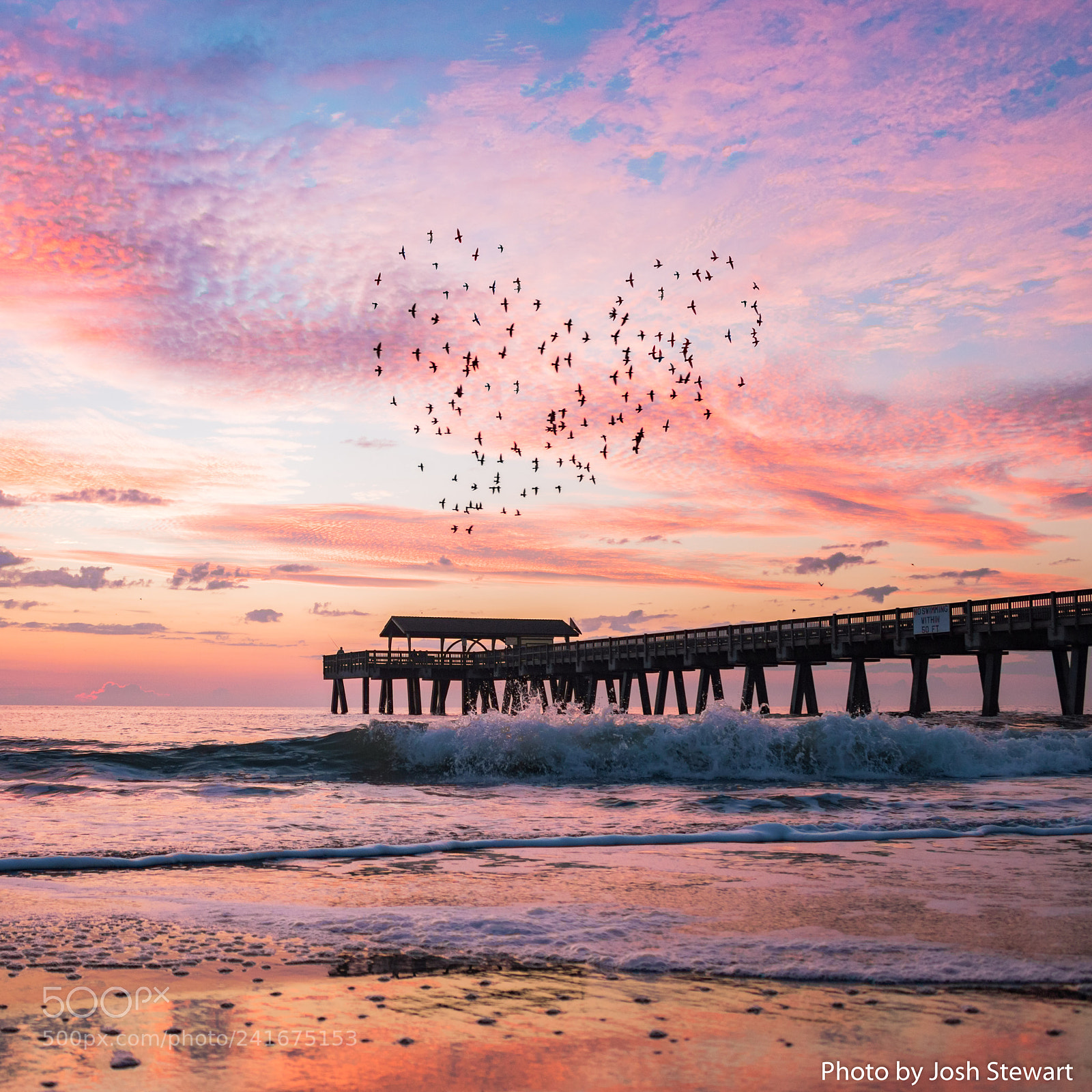 Canon EOS 750D (EOS Rebel T6i / EOS Kiss X8i) sample photo. Birds heart shape sunrise photography