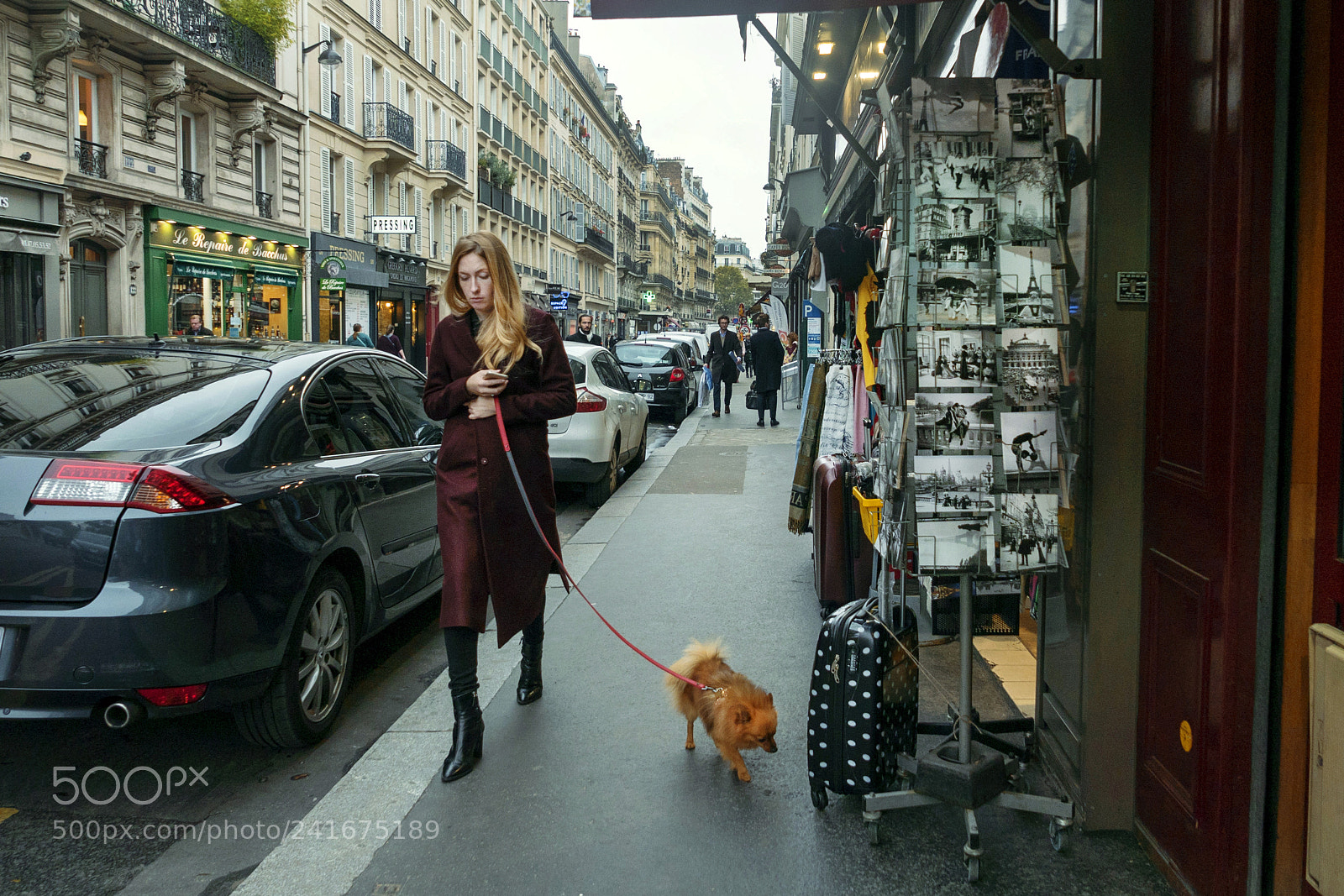 Leica D-Lux (Typ 109) sample photo. Walking in paris photography
