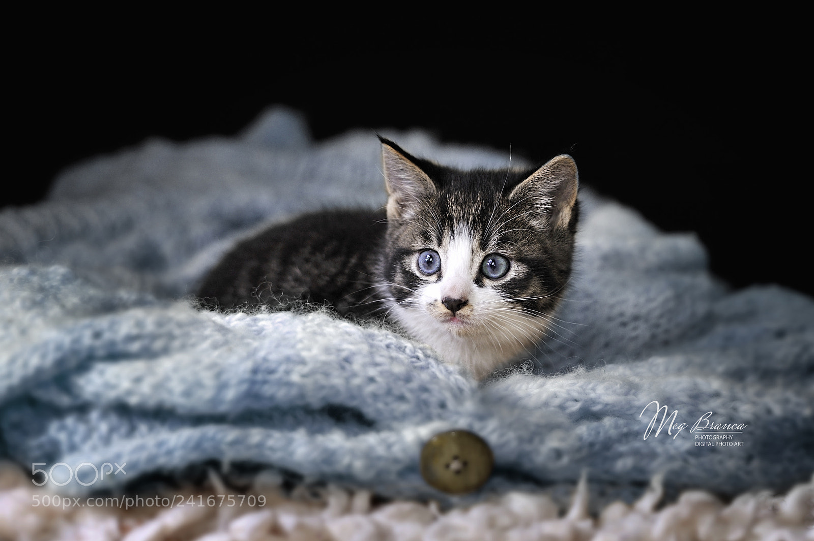 Nikon D700 sample photo. Baby boy photography