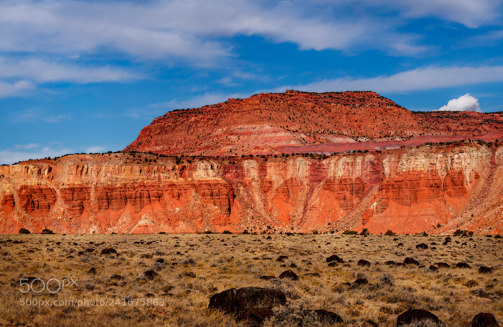 Nikon D850 sample photo. Capitol reef national park photography