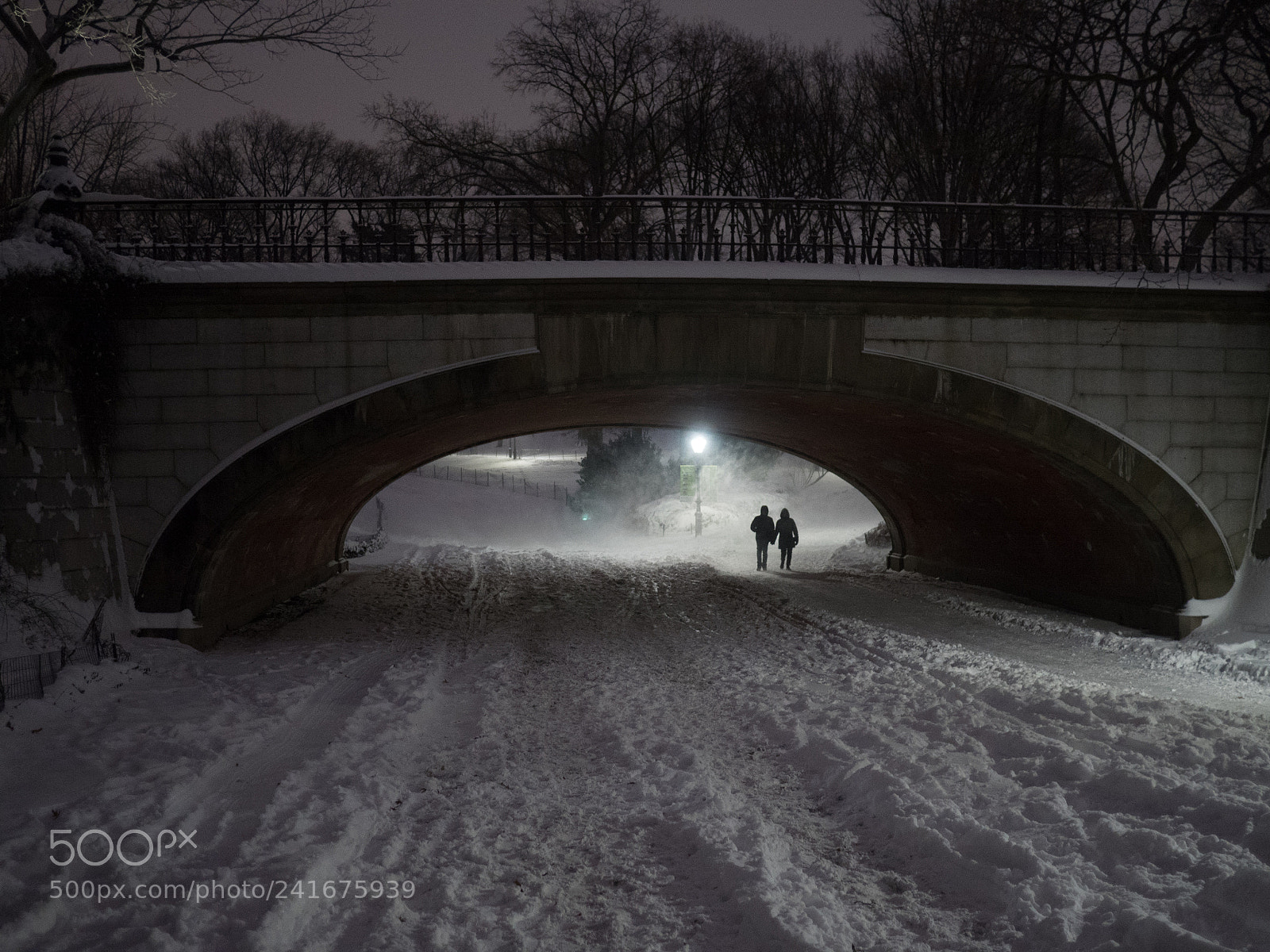Olympus OM-D E-M5 II sample photo. Braving the snow photography