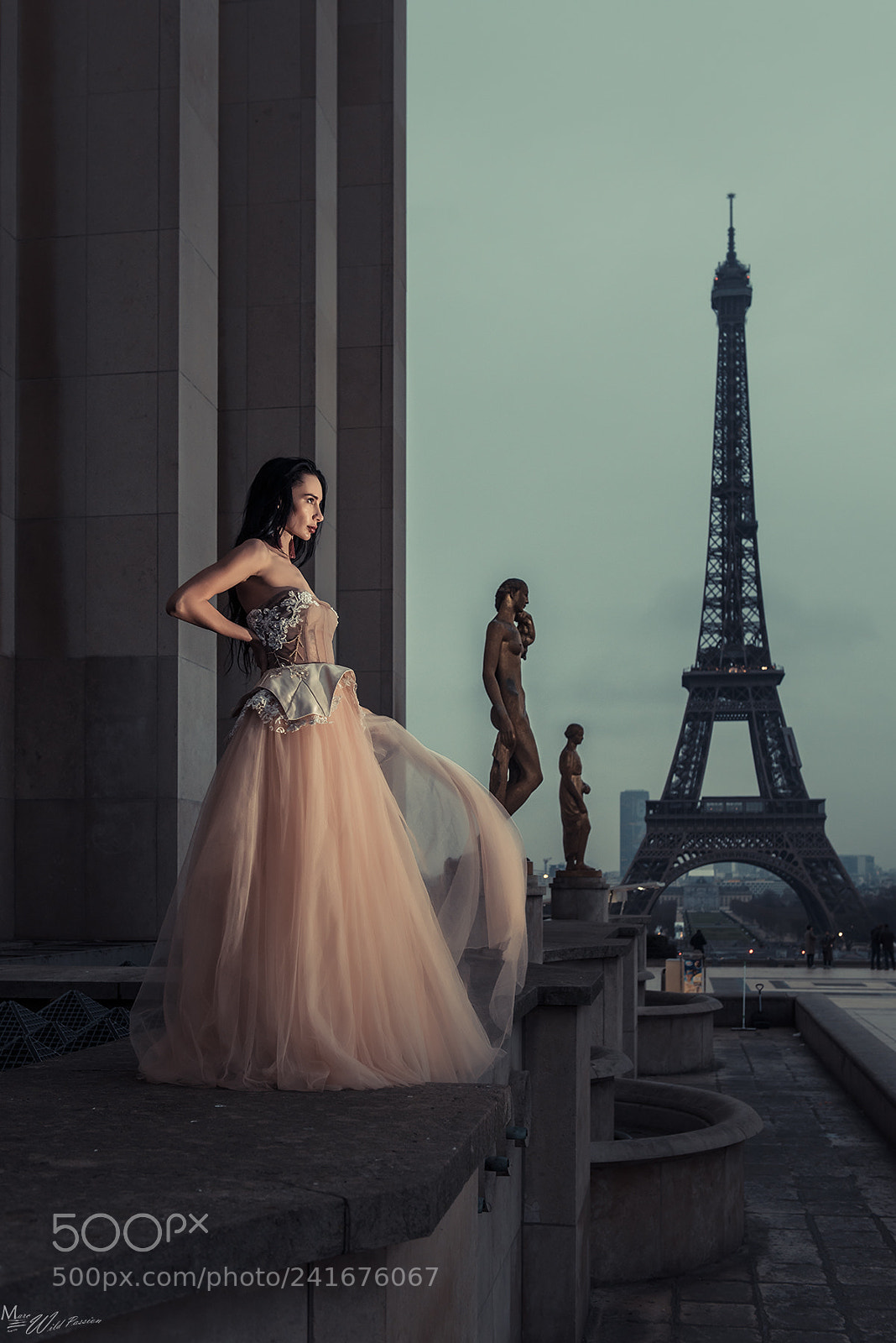 Nikon D810 sample photo. Statues of paris photography