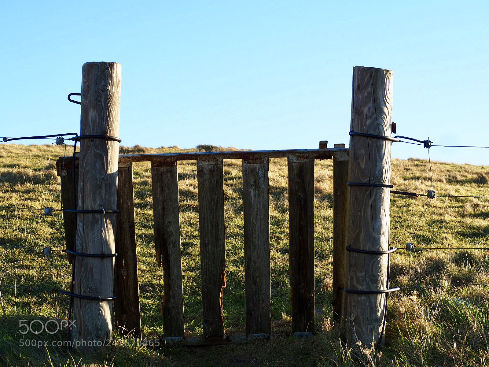 Olympus OM-D E-M10 II sample photo. Fence photography