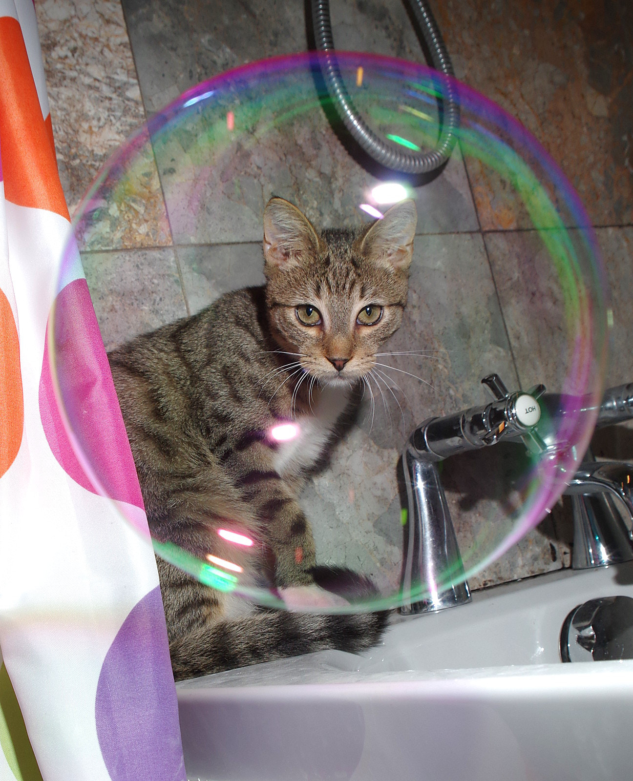 Pentax K-3 sample photo. Bubble bath photography