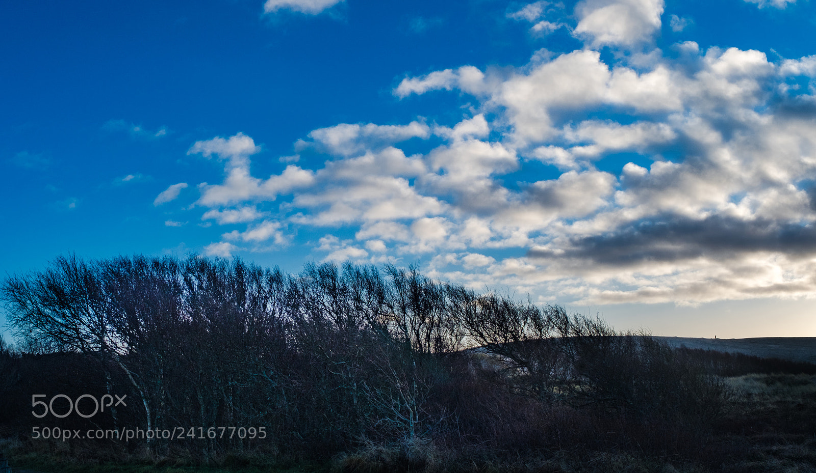 Fujifilm X100F sample photo. Himmel photography