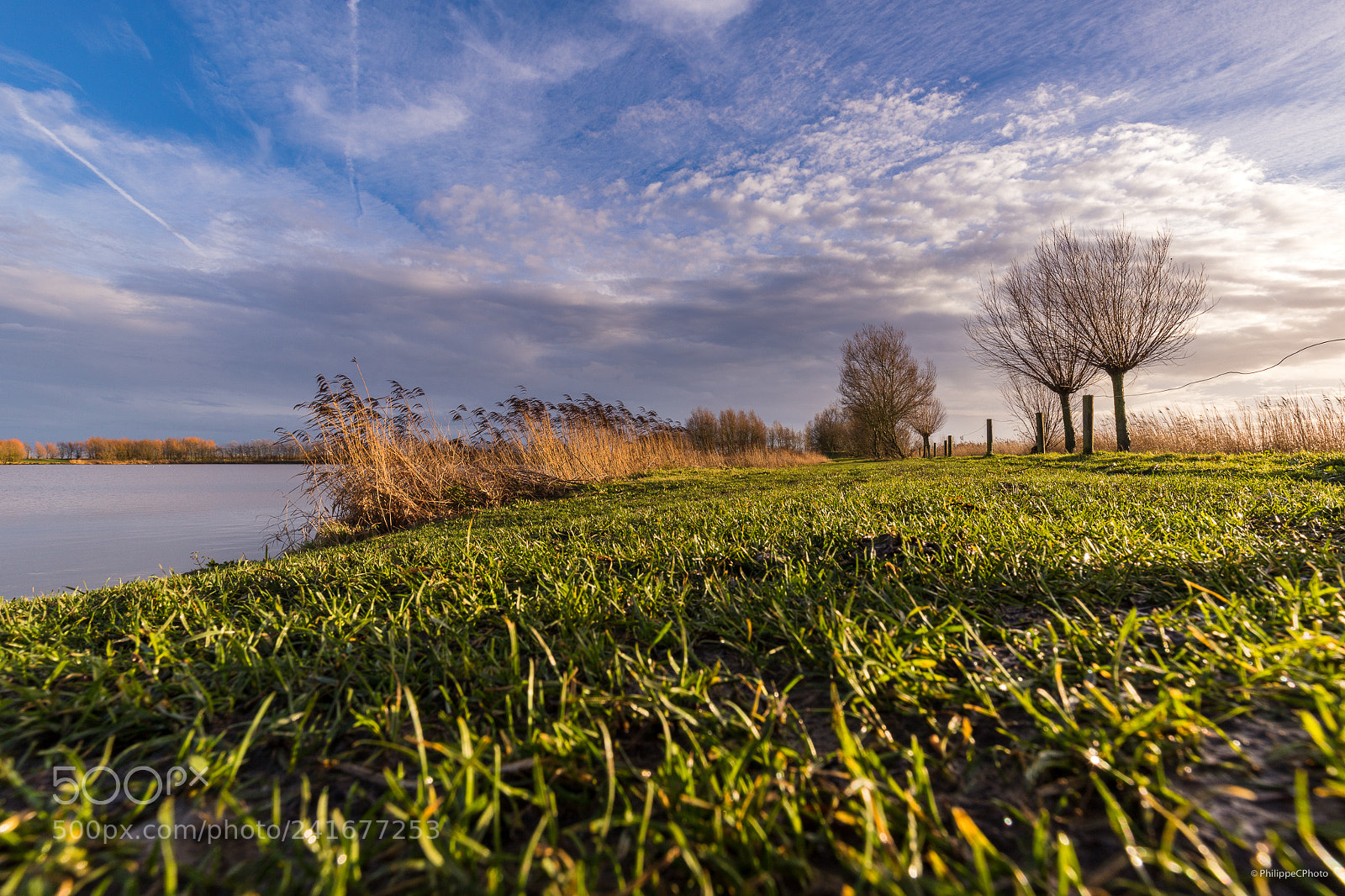 Canon EOS 6D Mark II sample photo. Koolhofput i photography