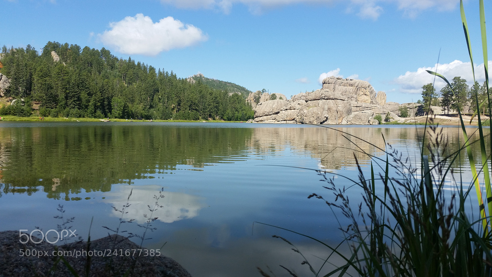 Samsung Galaxy S5 sample photo. 20170728_110525.jpg photography