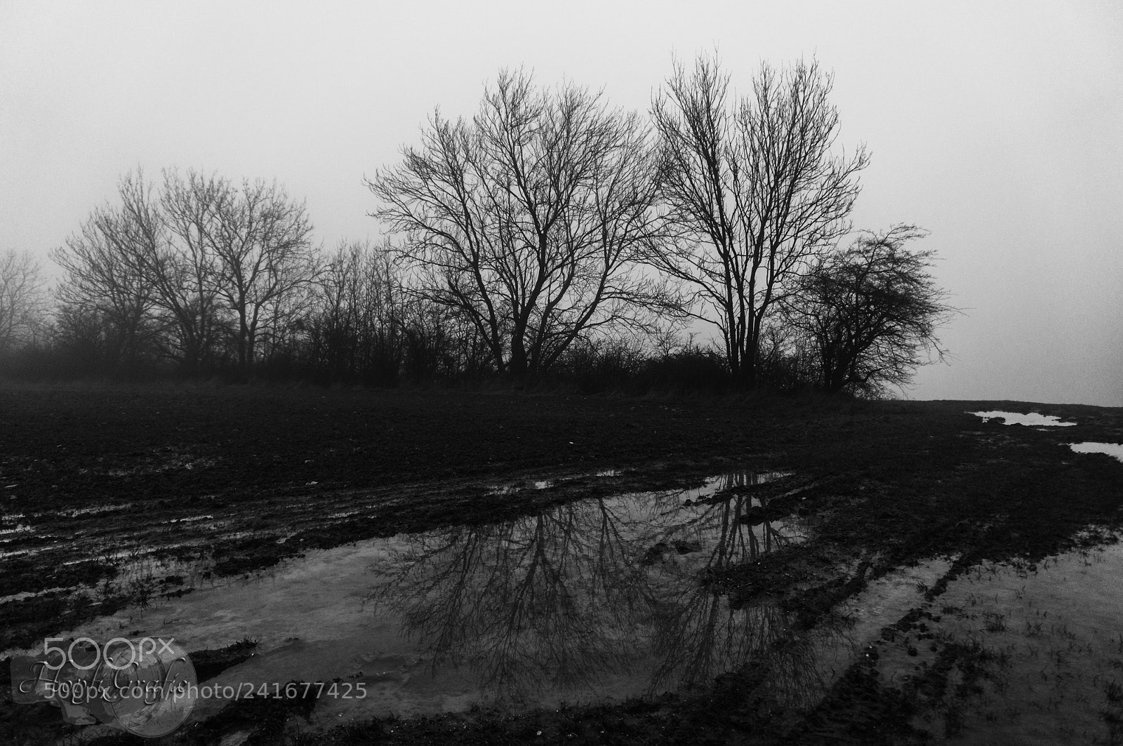 Sony Alpha NEX-3N sample photo. Trist grau nass photography