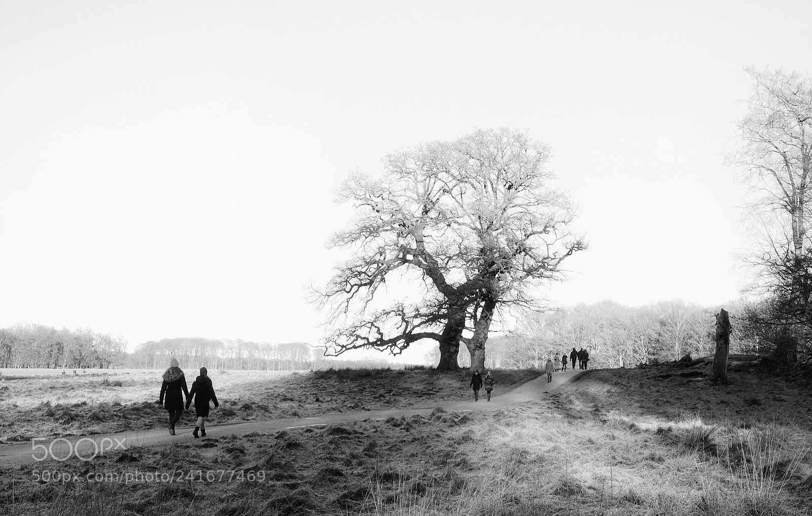 Fujifilm X-T1 sample photo. Bright cold winter day photography