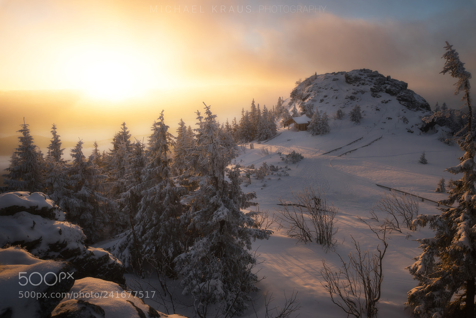 Sony a7R sample photo. °° großer arber °° photography