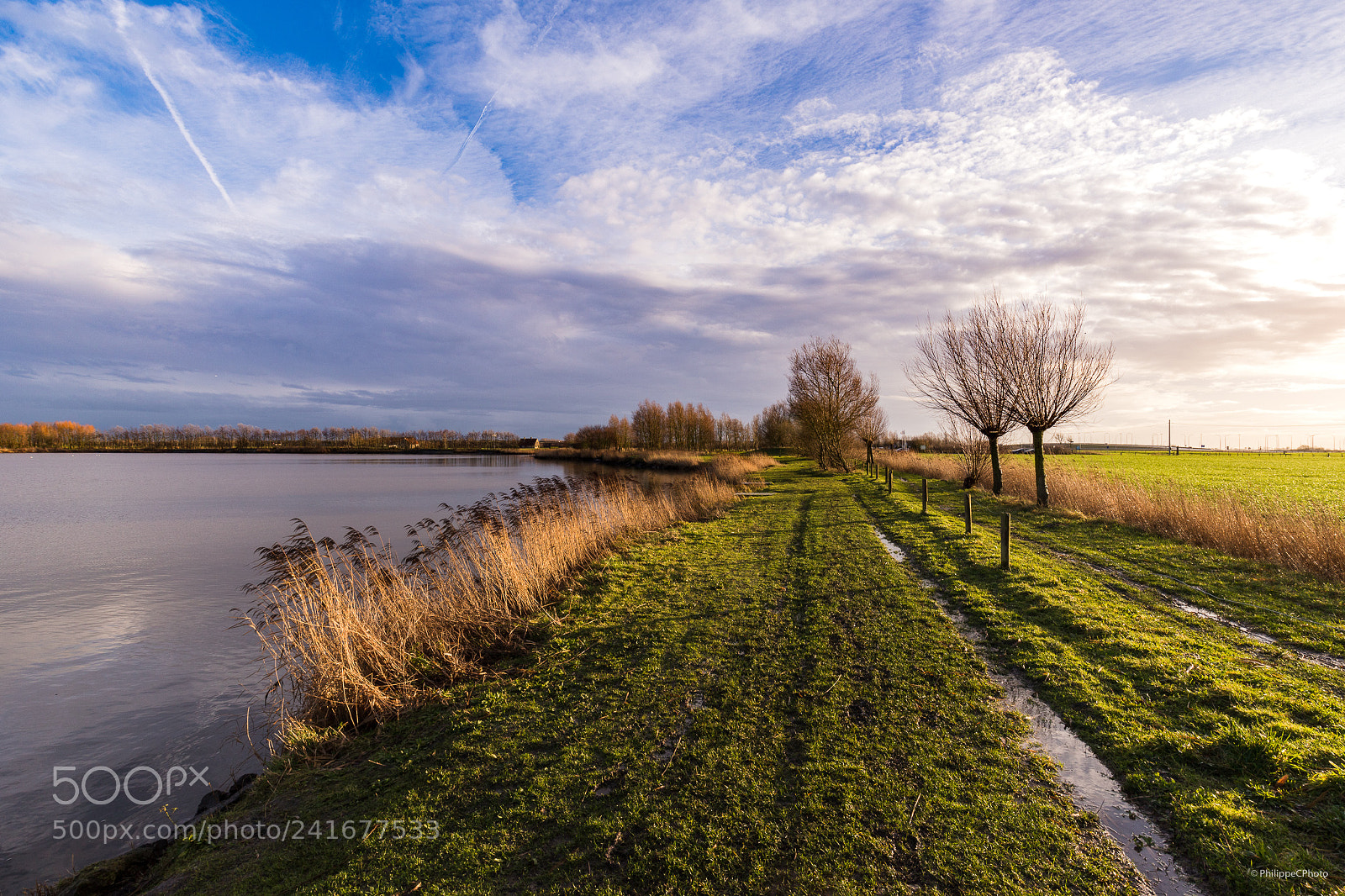 Canon EOS 6D Mark II sample photo. Koolhofput iii photography