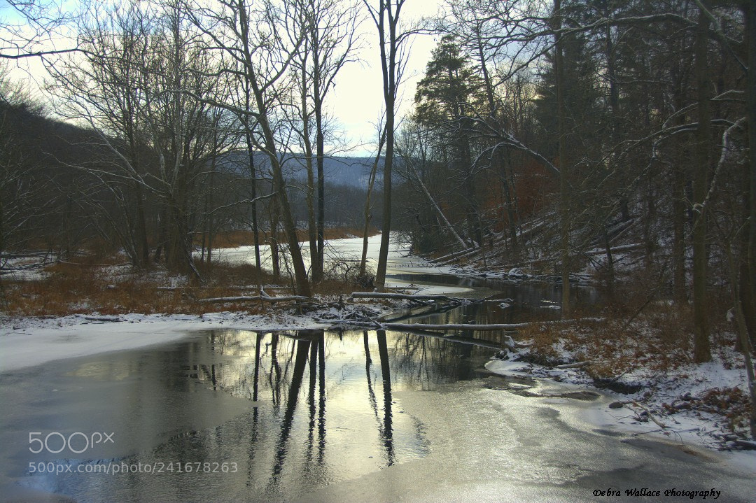 Nikon D7100 sample photo. The ramapo river at photography