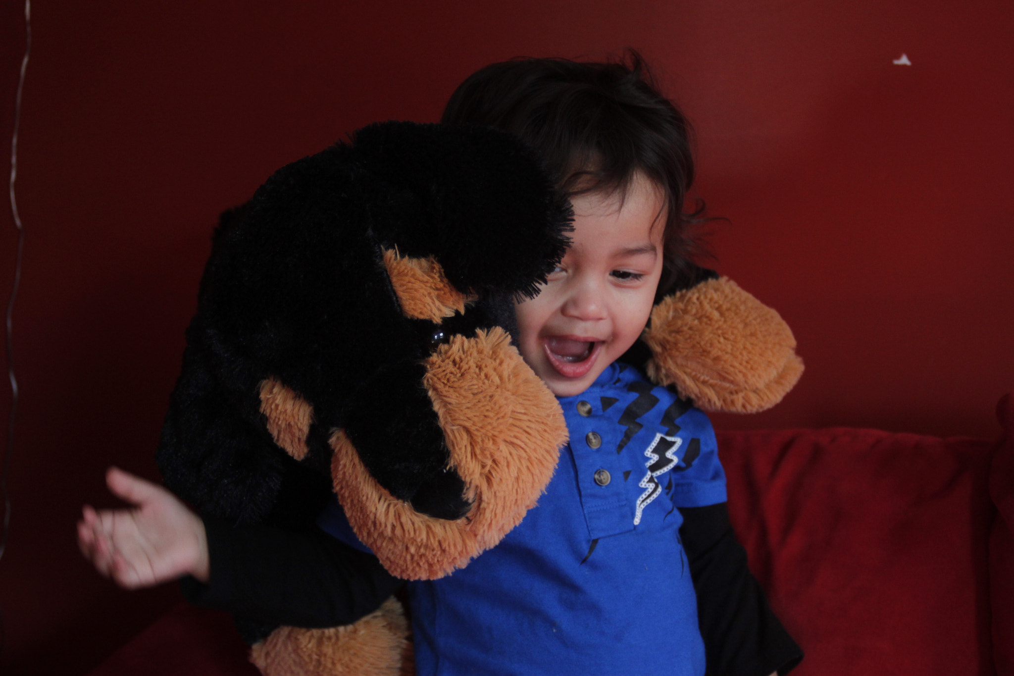Canon EOS 500D (EOS Rebel T1i / EOS Kiss X3) sample photo. A boy and his stuffy photography