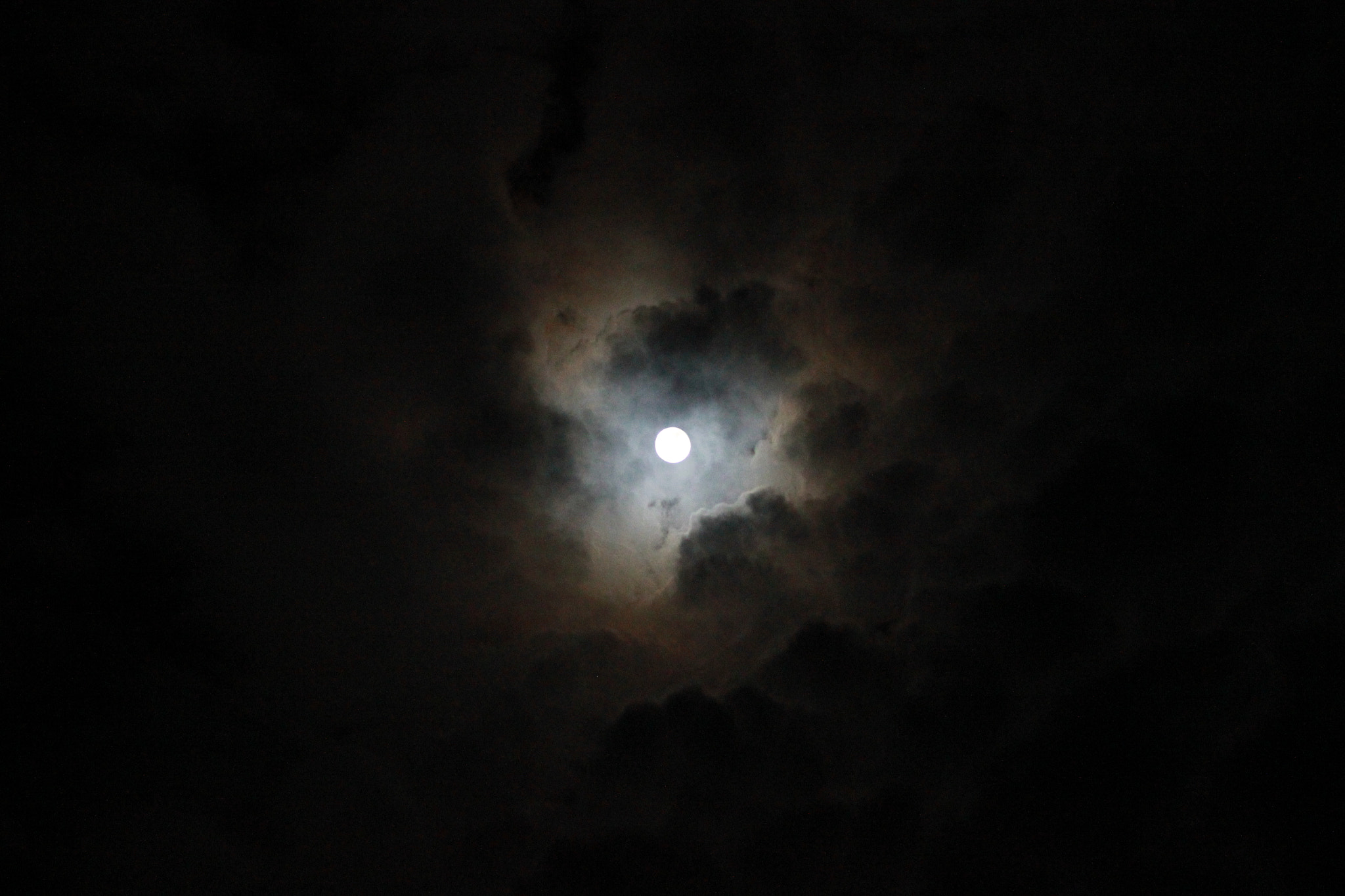 Canon EOS 550D (EOS Rebel T2i / EOS Kiss X4) sample photo. Luna de año nuevo photography