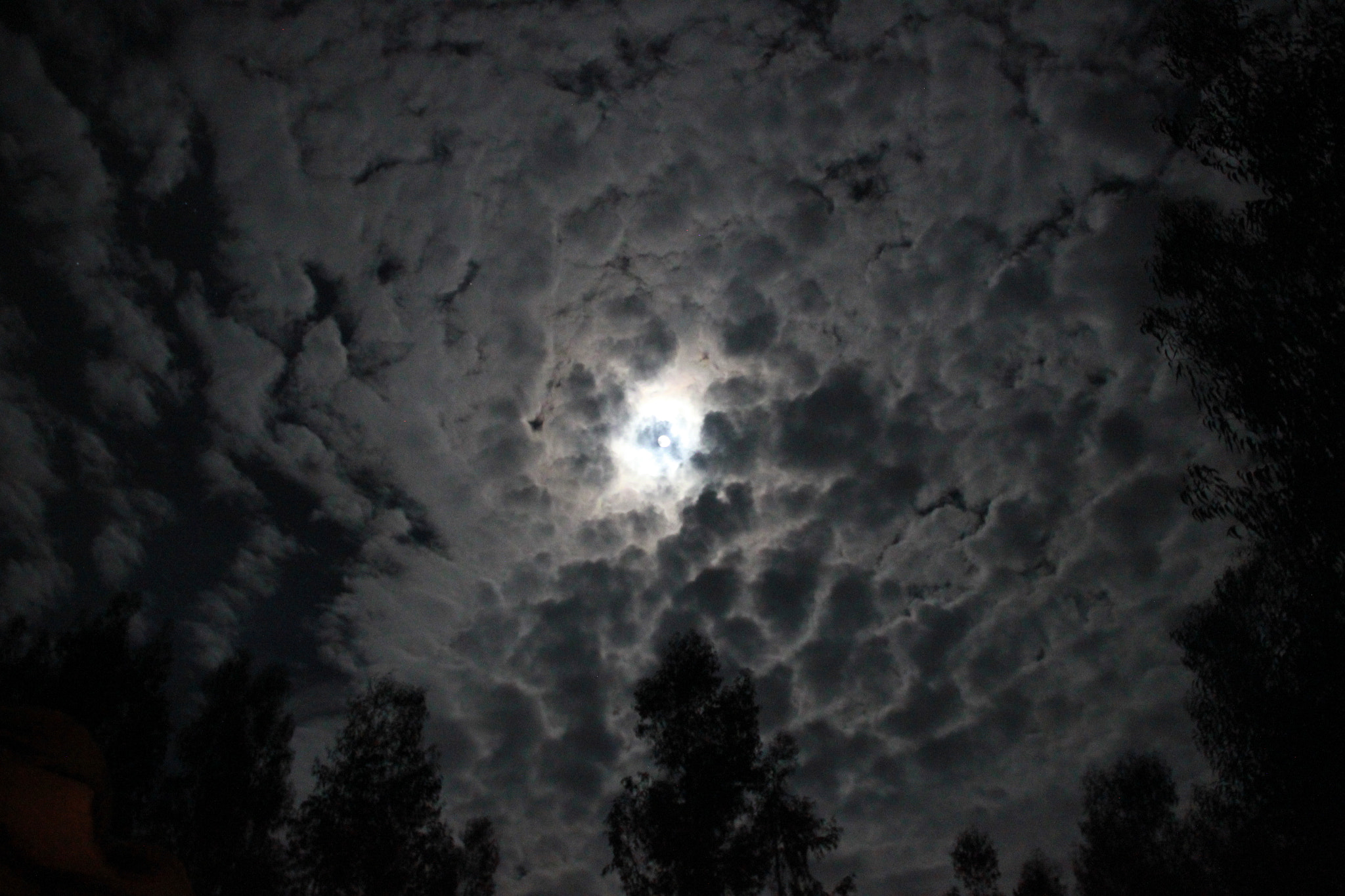 Canon EOS 550D (EOS Rebel T2i / EOS Kiss X4) sample photo. Super luna entre bosques photography