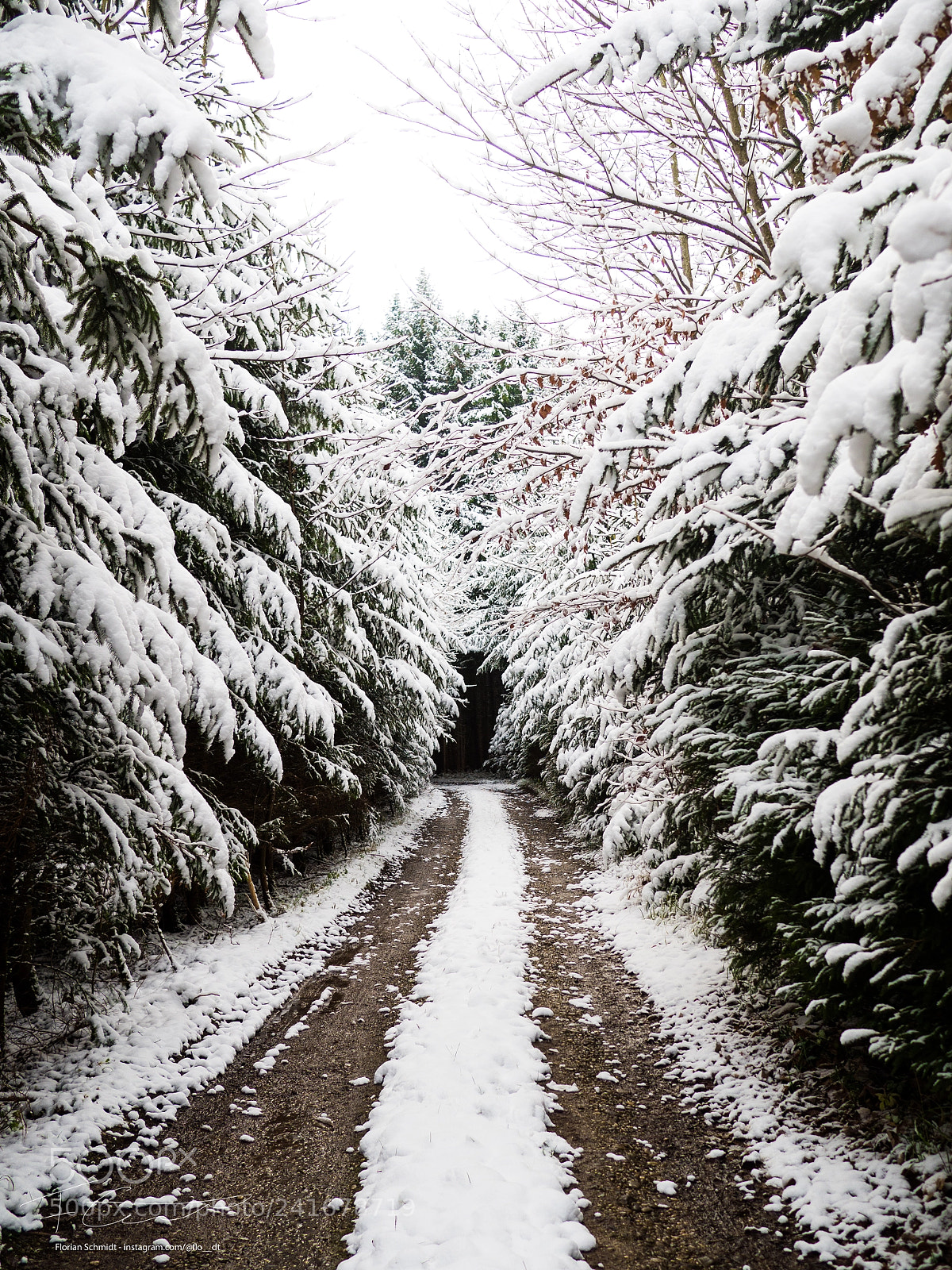 Olympus OM-D E-M10 sample photo. Winter is coming photography