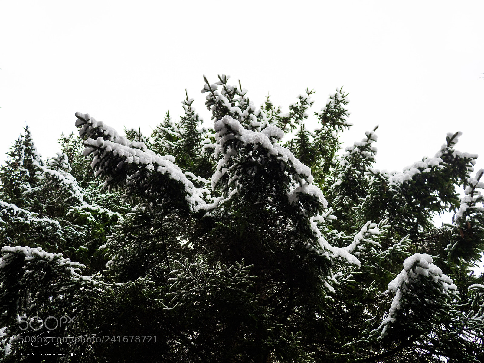 Olympus OM-D E-M10 sample photo. Winter is coming photography
