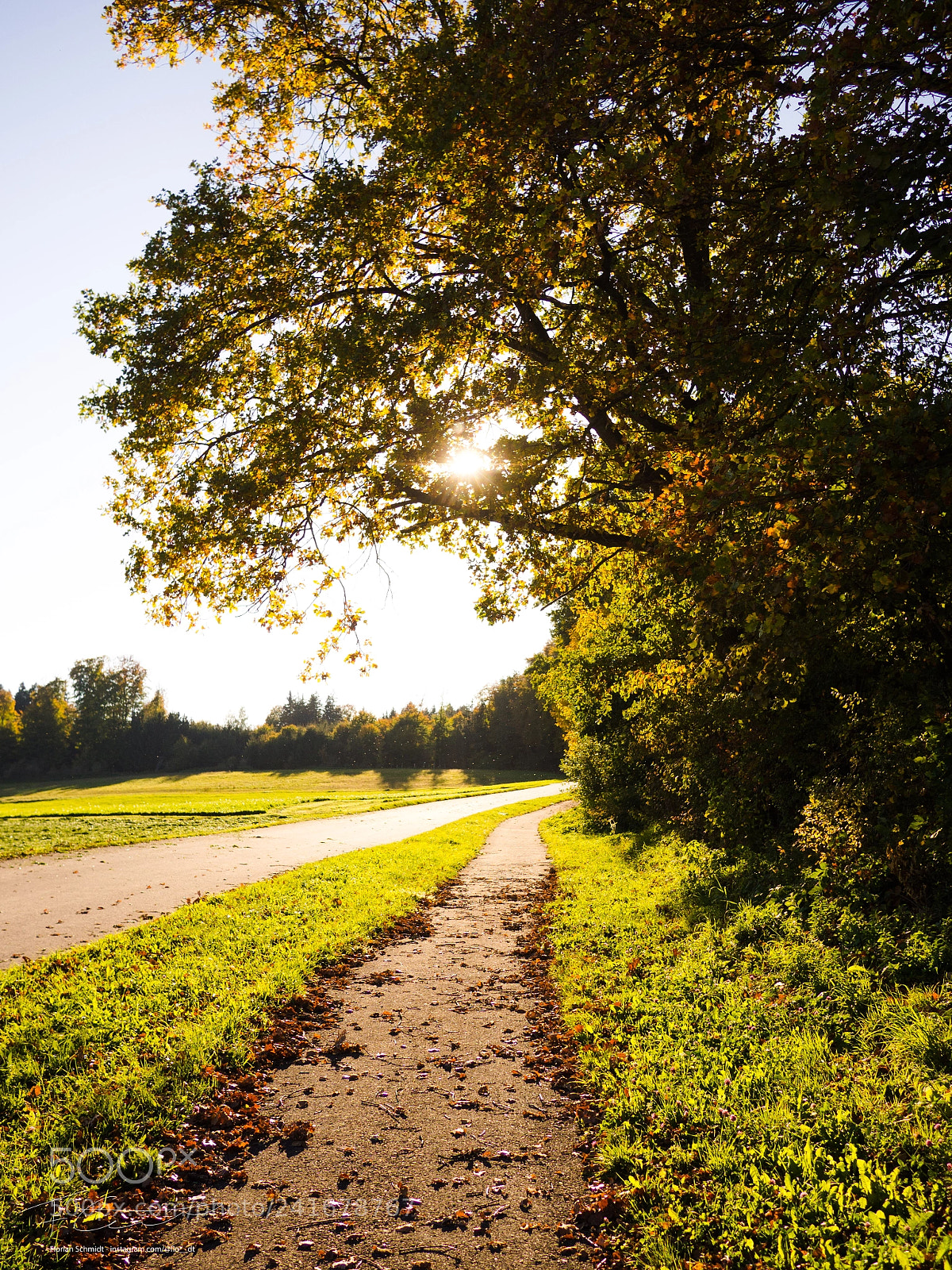 Olympus OM-D E-M10 sample photo. Fall photography