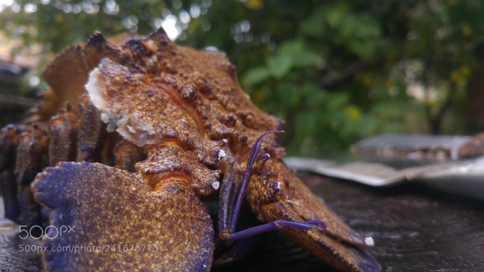 LG G4 sample photo. Untitled photography