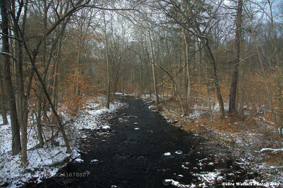 Nikon D7100 sample photo. The ramapo river with photography