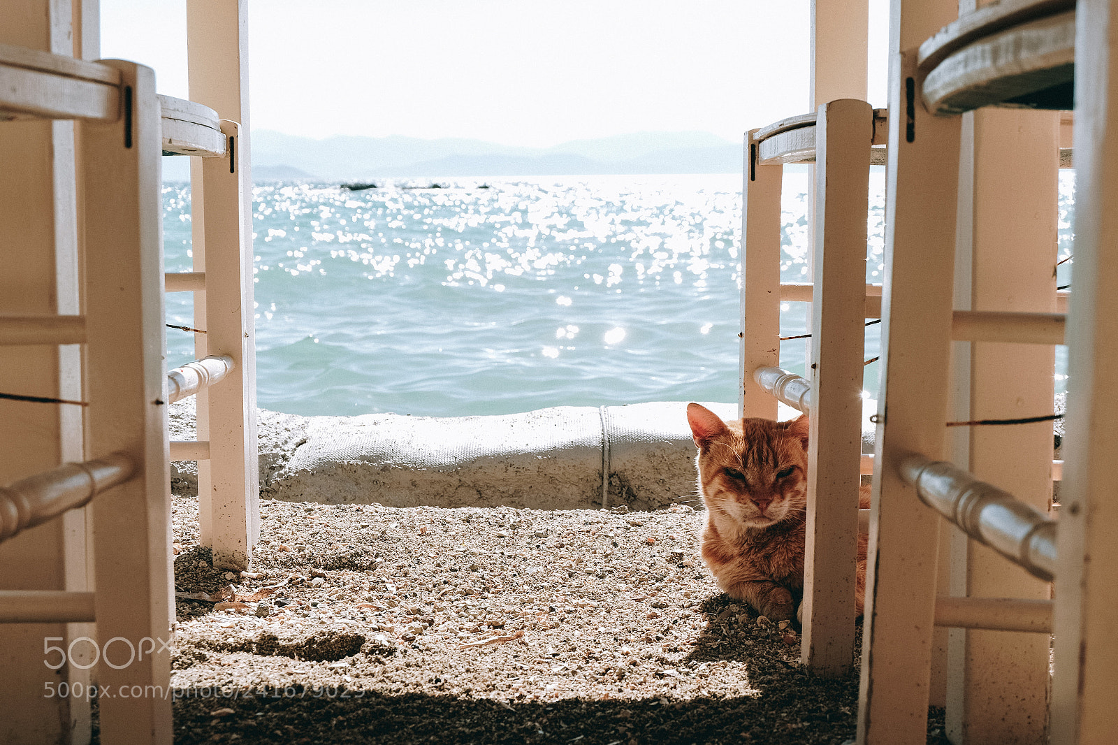 Fujifilm X-T10 sample photo. Einschlafen, mieowww photography