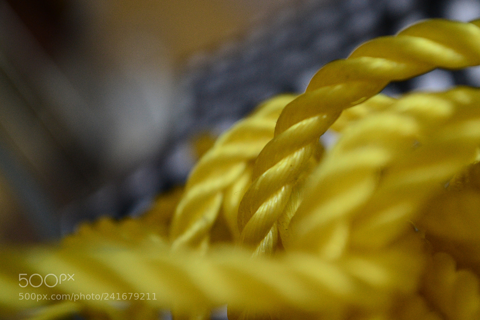 Nikon D3100 sample photo. Untitled photography