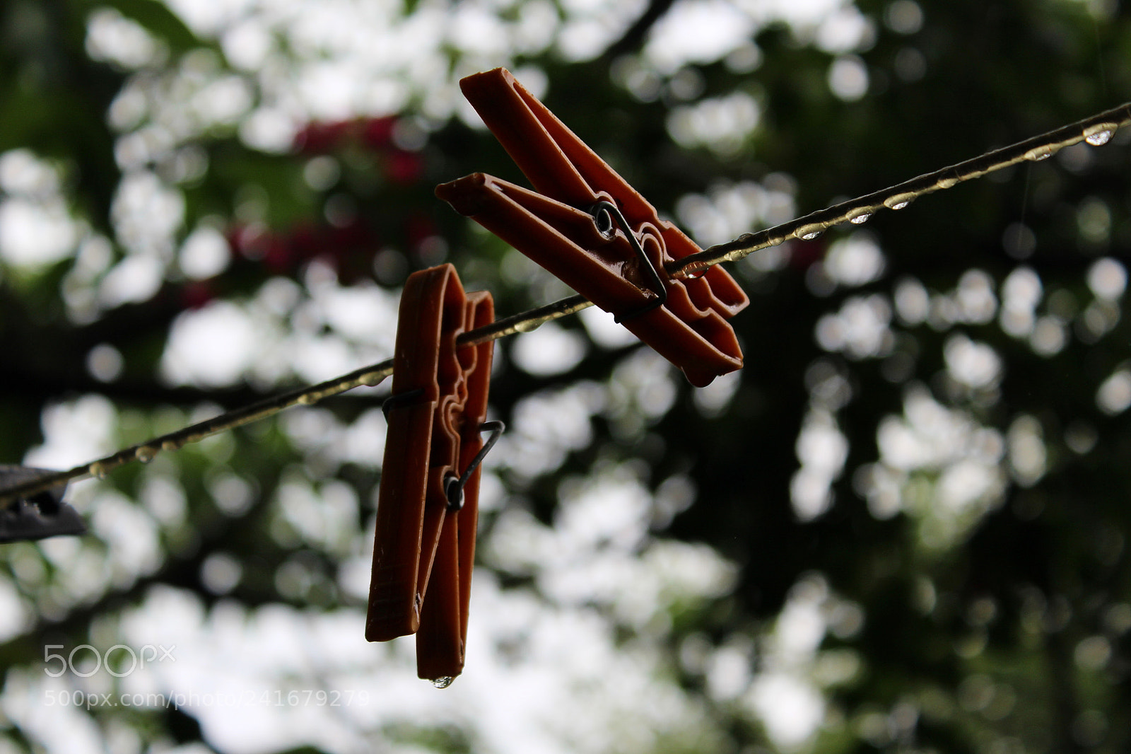 Canon EOS 1200D (EOS Rebel T5 / EOS Kiss X70 / EOS Hi) sample photo. Freshness photography