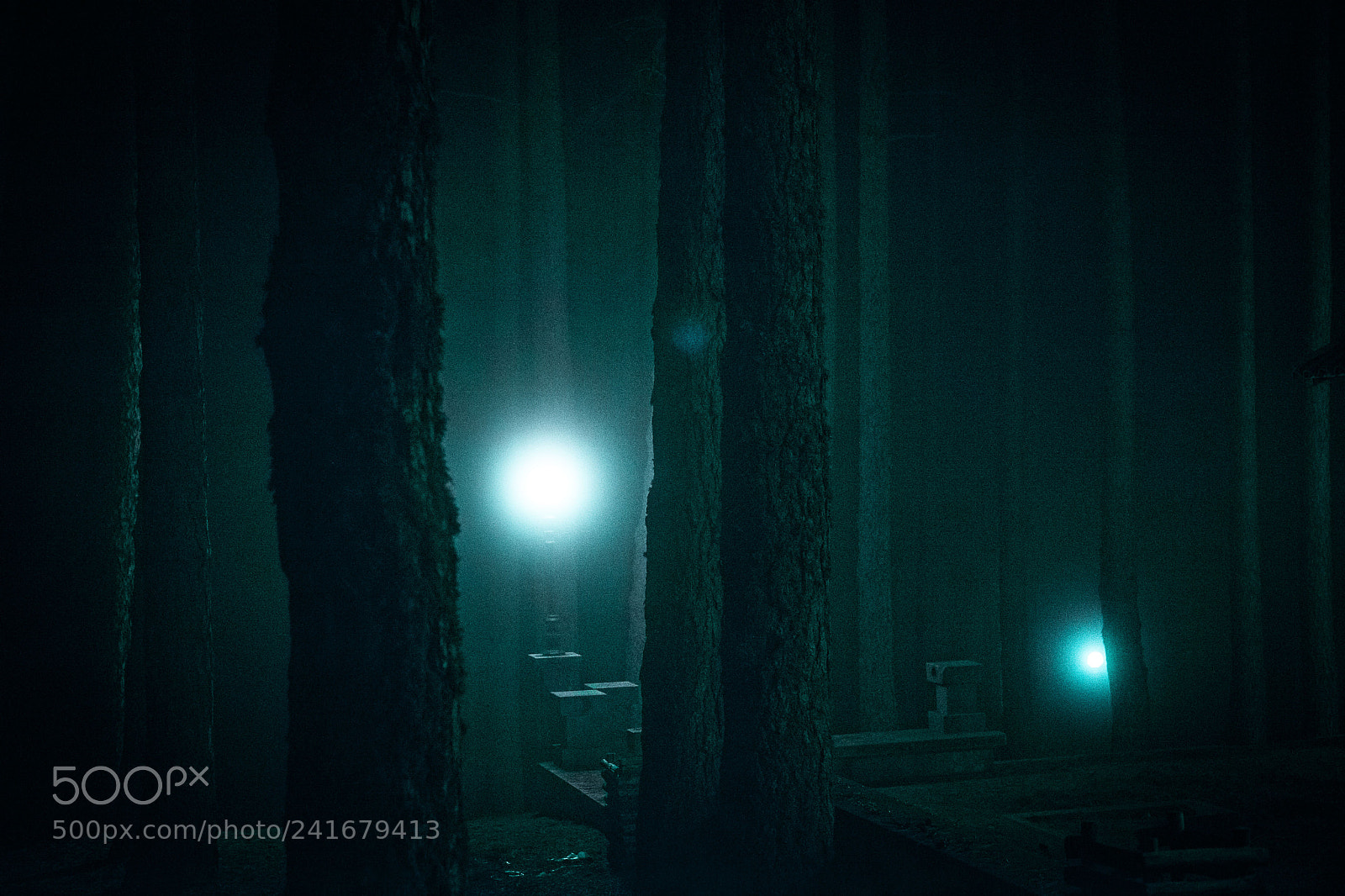 Nikon D800 sample photo. Spirits in the woods photography
