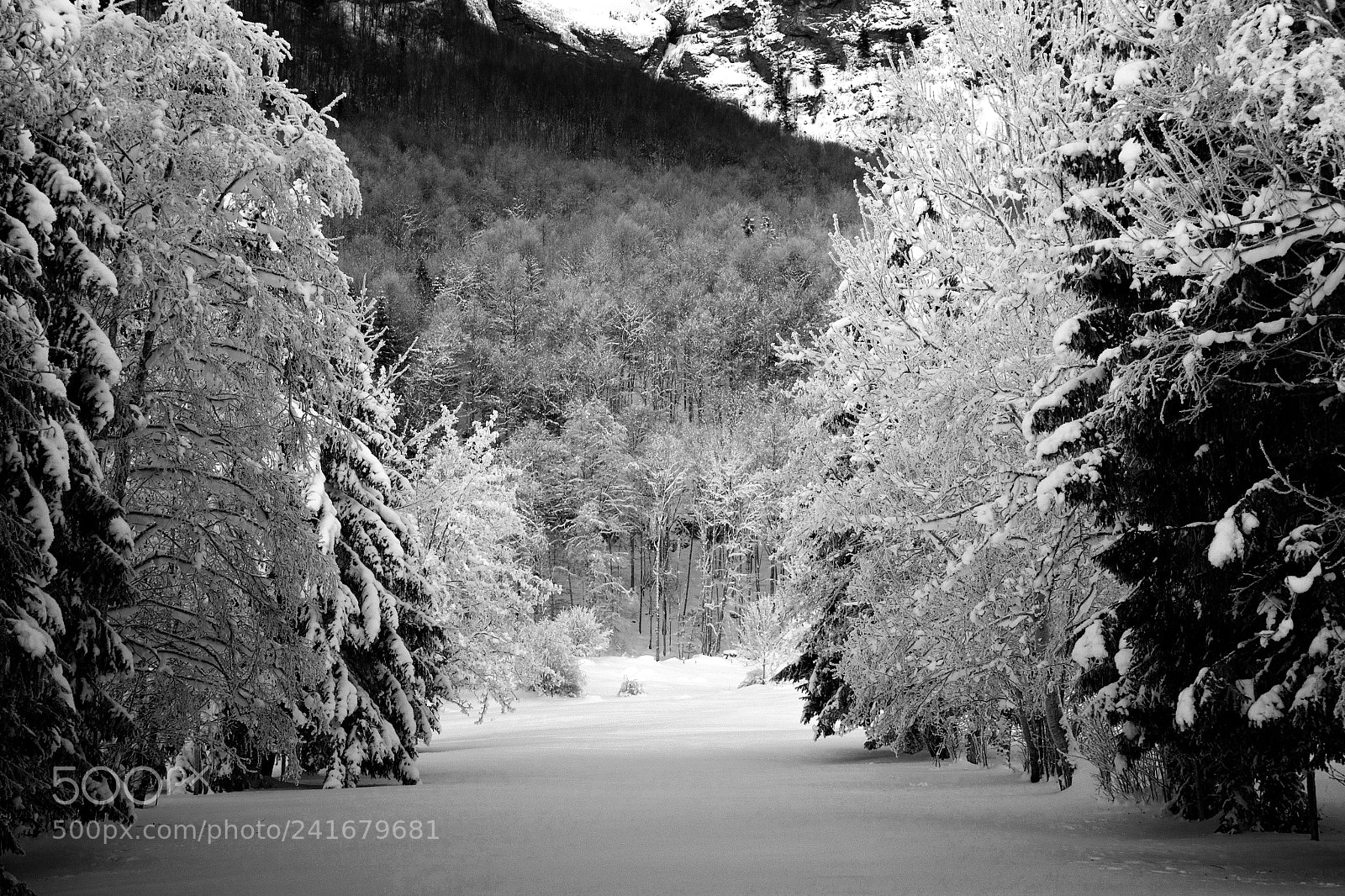 Nikon D7100 sample photo. Winter moanvalley photography