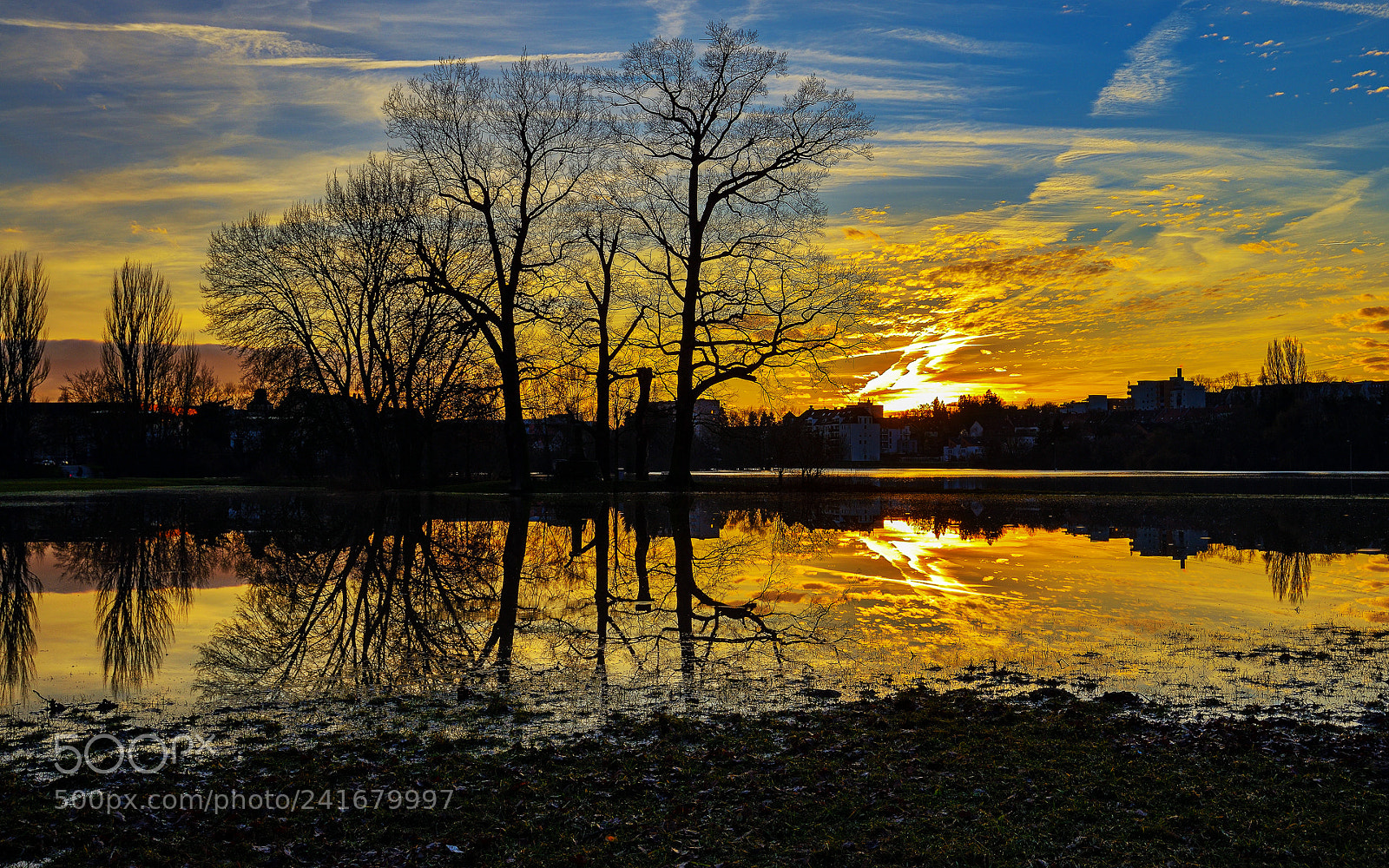 Nikon D800 sample photo. Sunset in the flooded photography