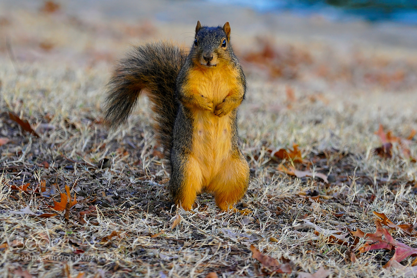 Sony a6500 sample photo. Did you bring anything? photography