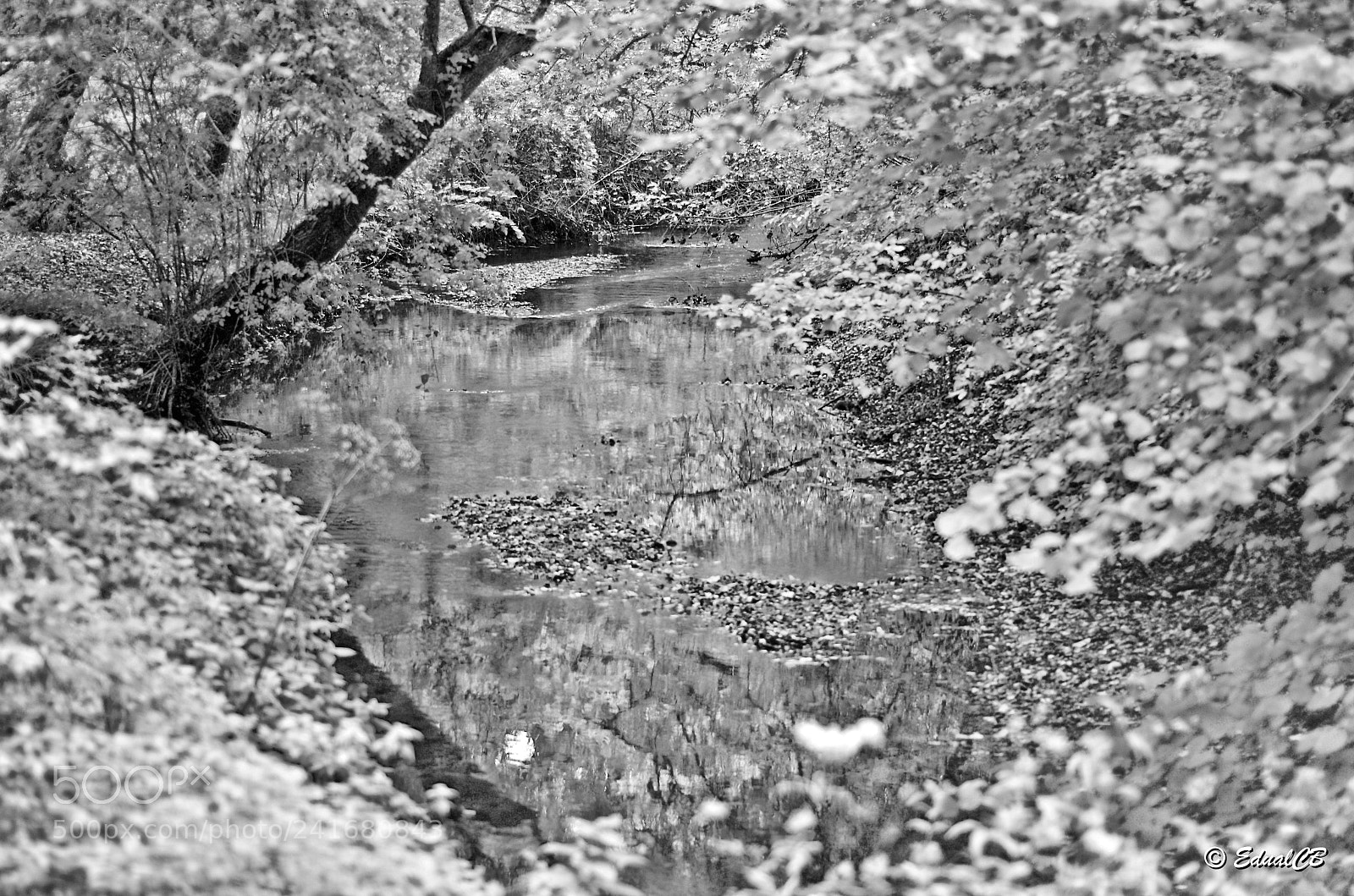 Pentax K-5 sample photo. L'eau bourde photography