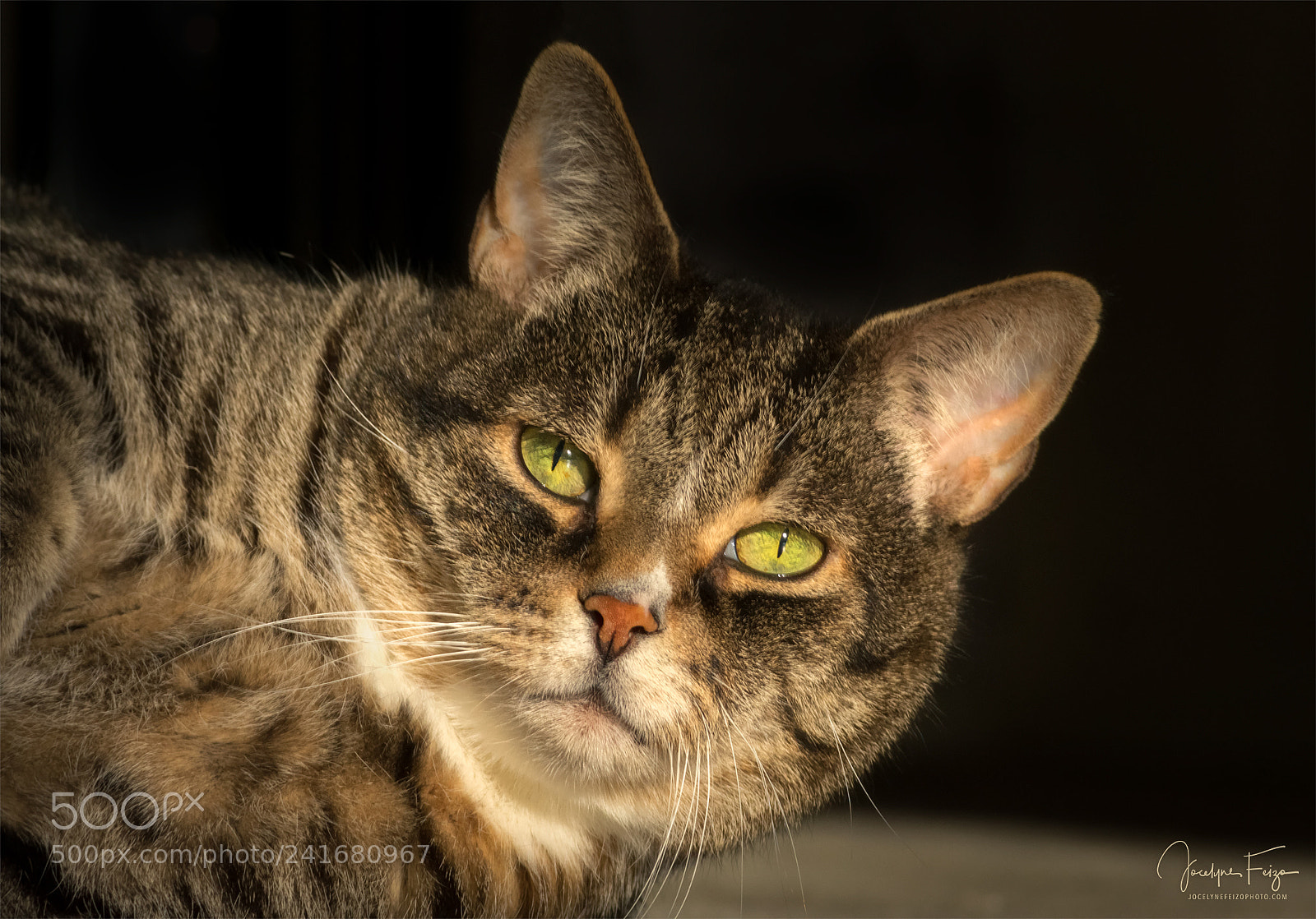 Nikon D3400 sample photo. Tango photography