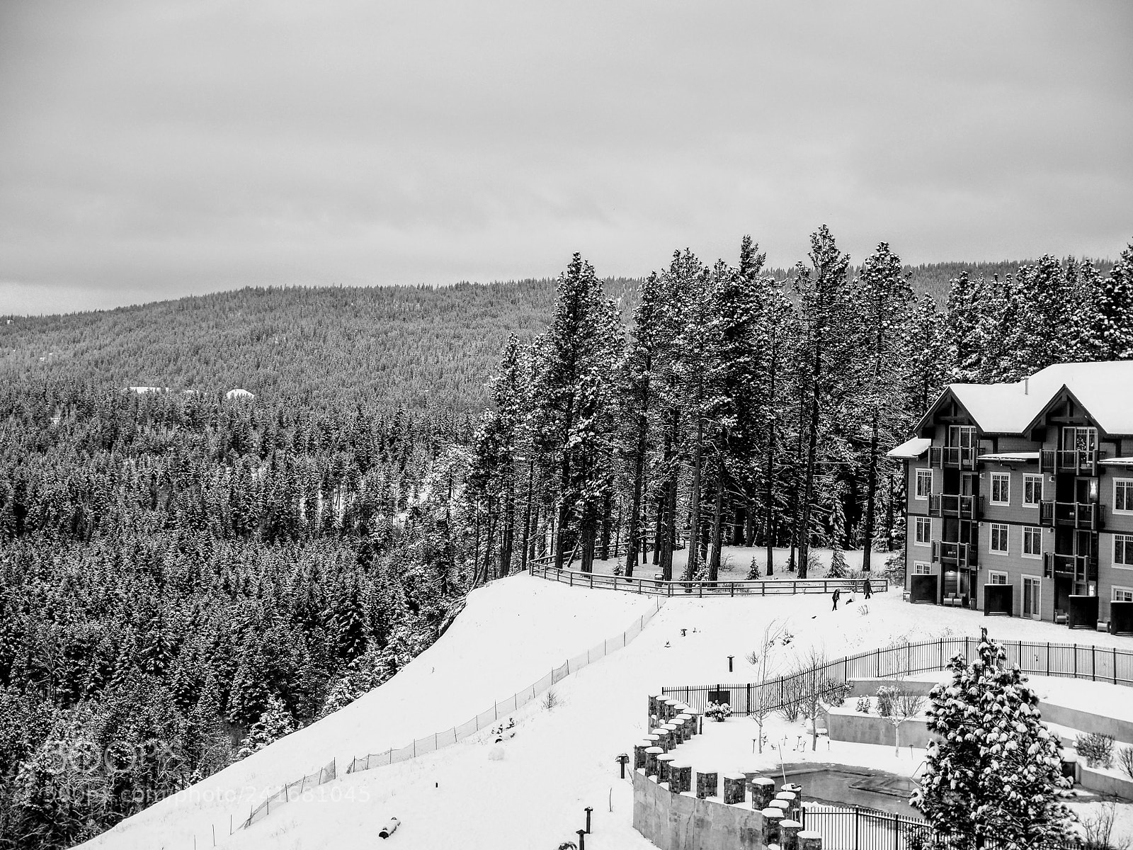 Olympus OM-D E-M5 II sample photo. Suncadia resort photography