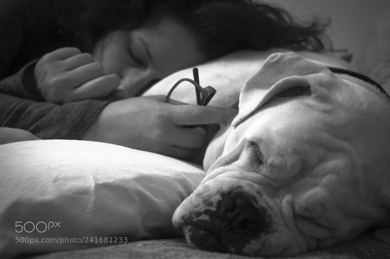 Canon EOS 30D sample photo. Chelsea's pillow photography