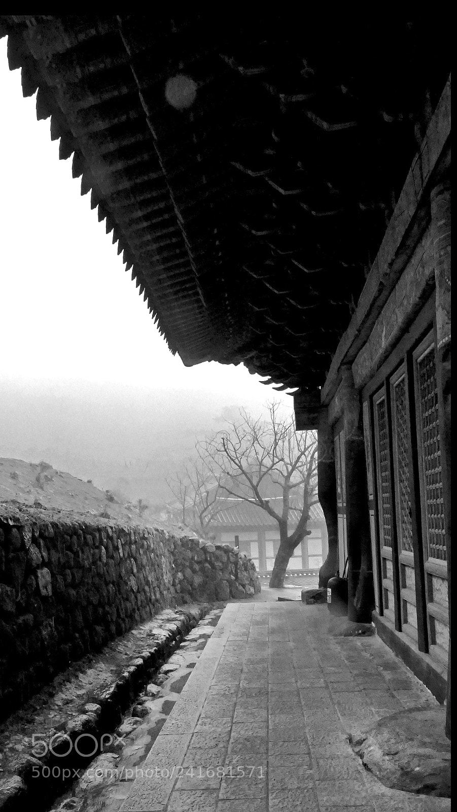 Leica V-Lux (Typ 114) sample photo. Untitled photography