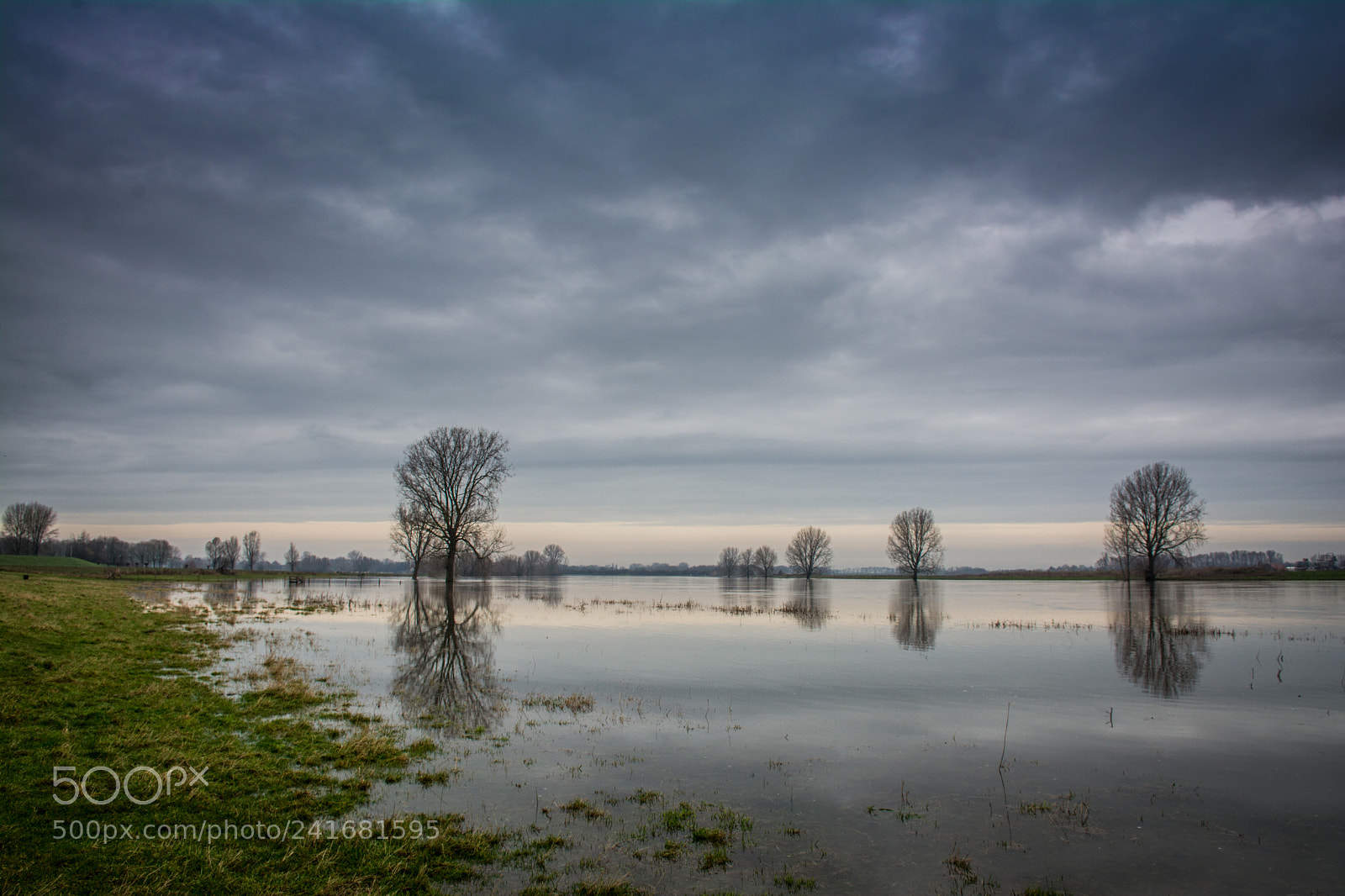 Nikon D7100 sample photo. Wet lands photography