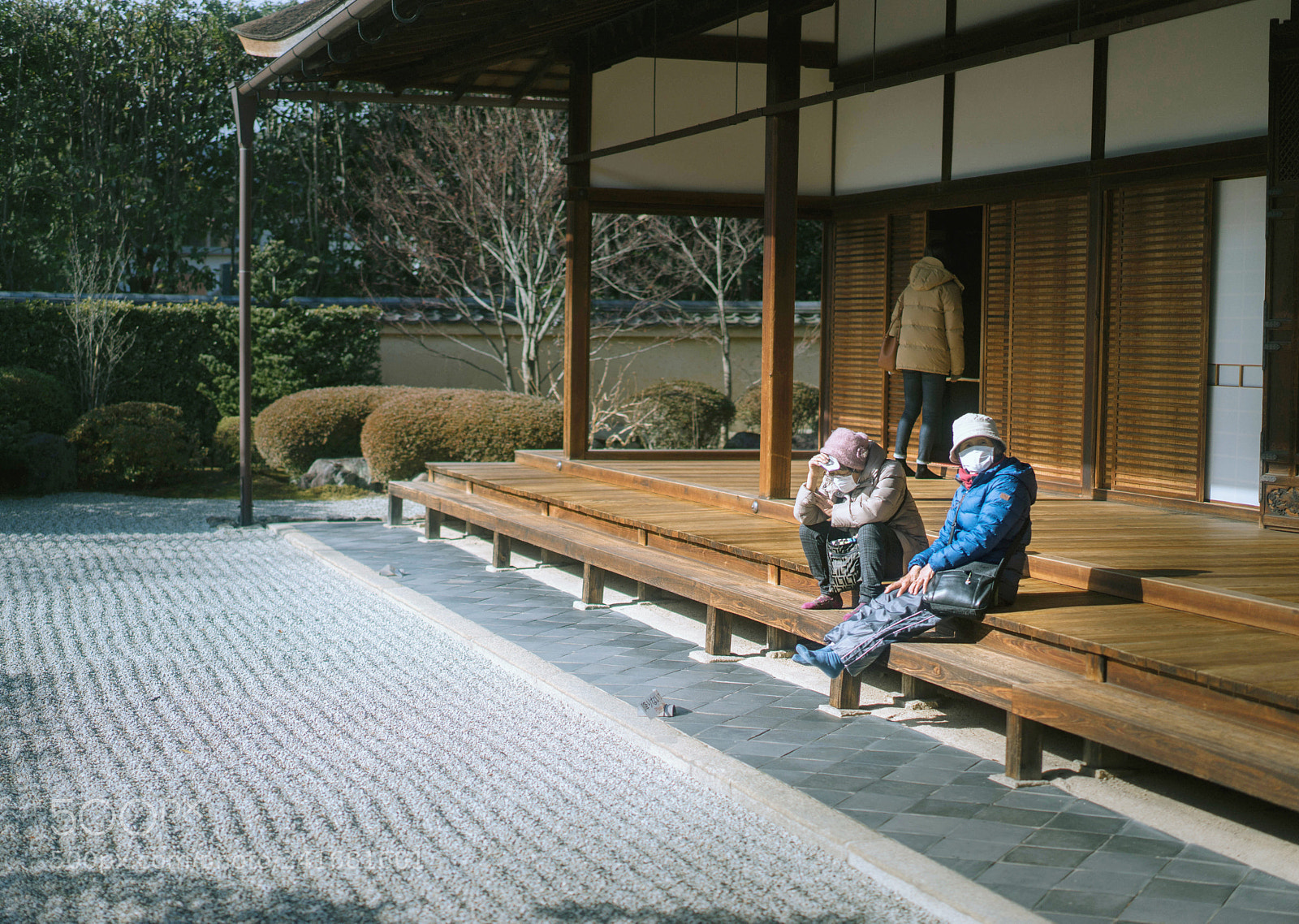 Sony a7 II sample photo. Untitled photography