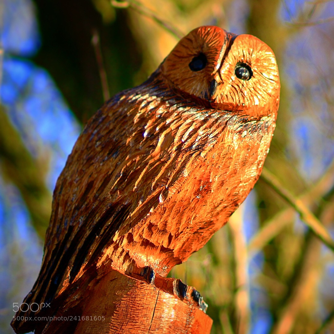 Canon EOS 100D (EOS Rebel SL1 / EOS Kiss X7) sample photo. Rushden lakes, uk photography