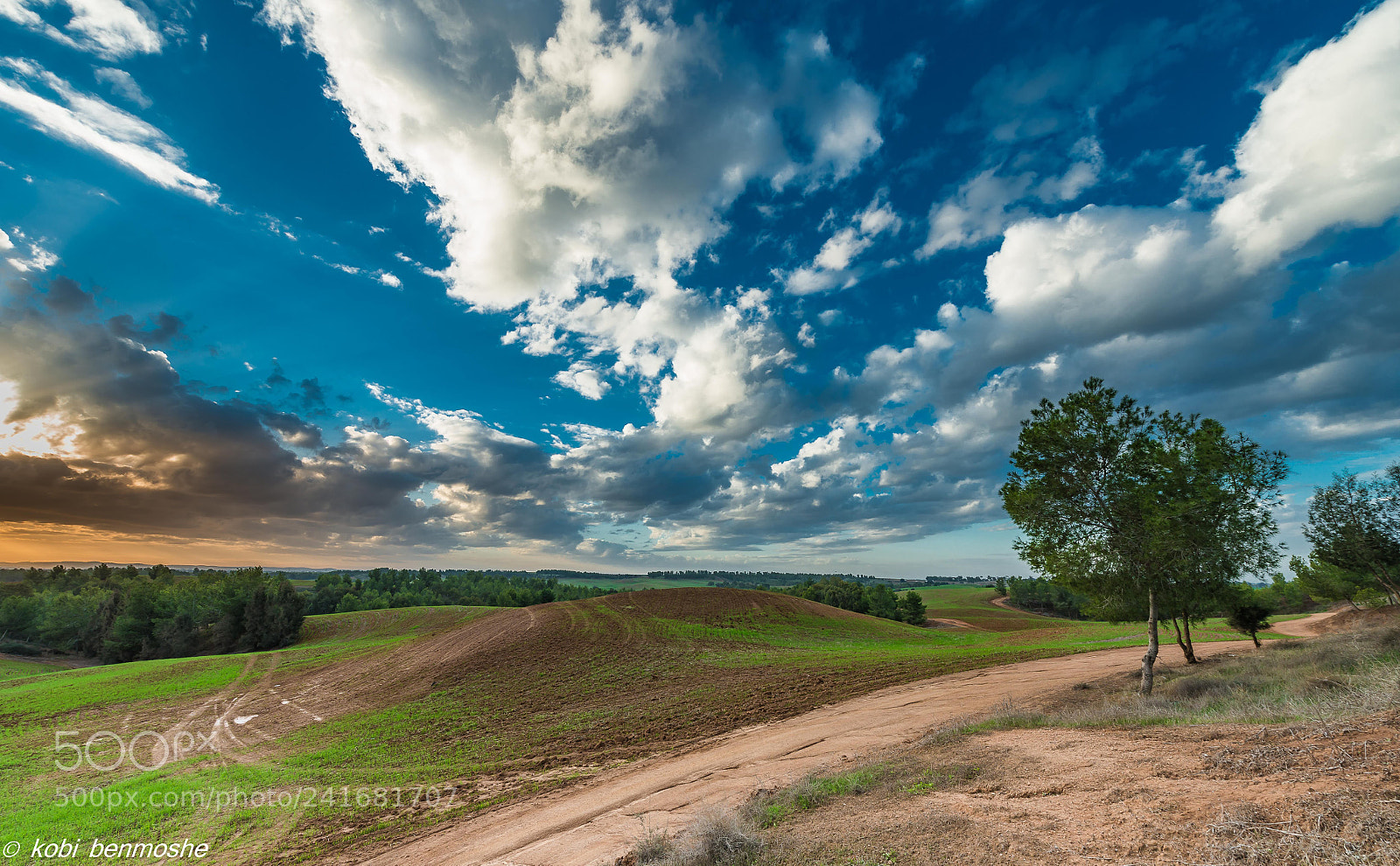 Nikon D800 sample photo. Sky photography