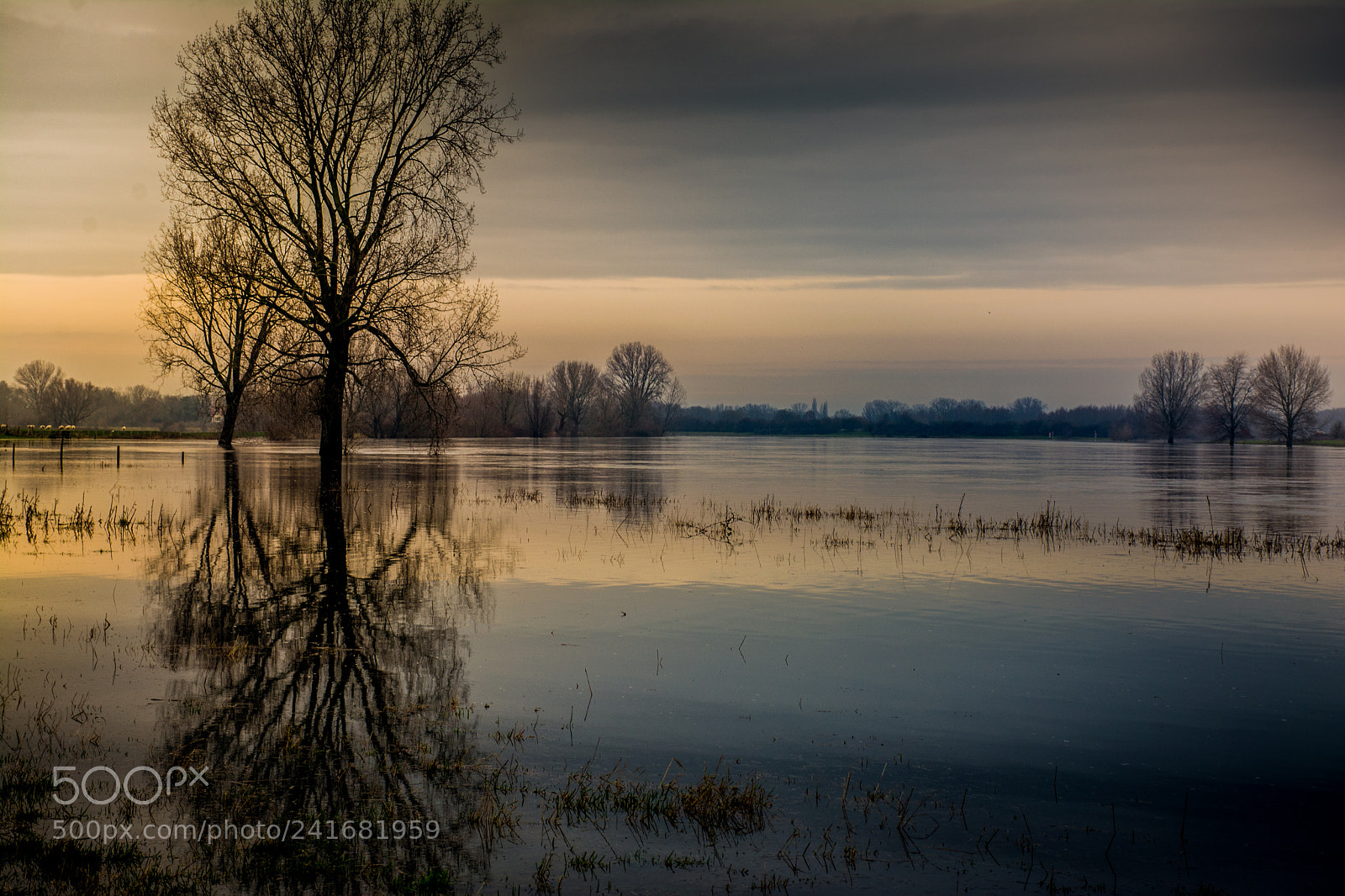 Nikon D7100 sample photo. Reflections photography