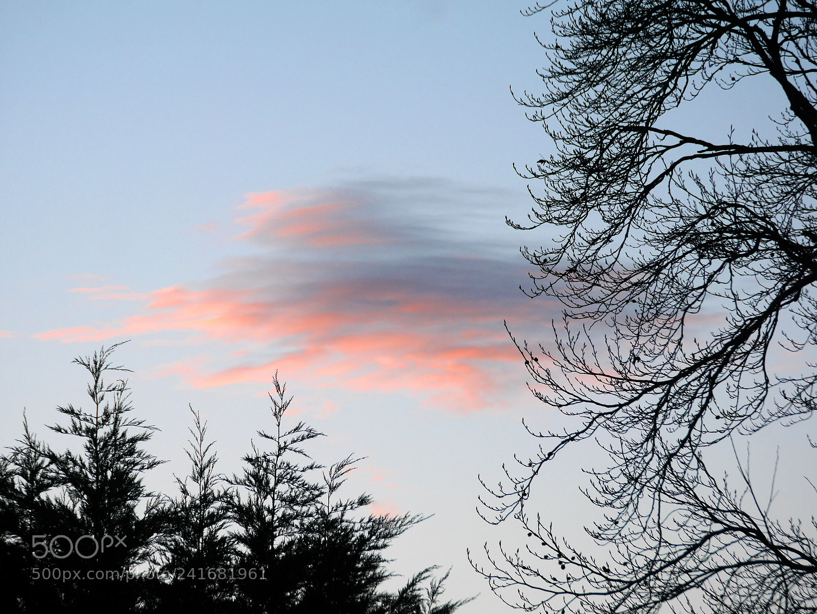 Panasonic Lumix DMC-GM1 sample photo. Serene evening cloud photography
