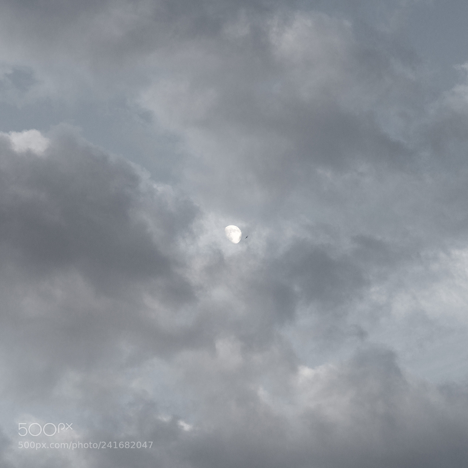 Nikon D800 sample photo. La luna kohn ansicht photography