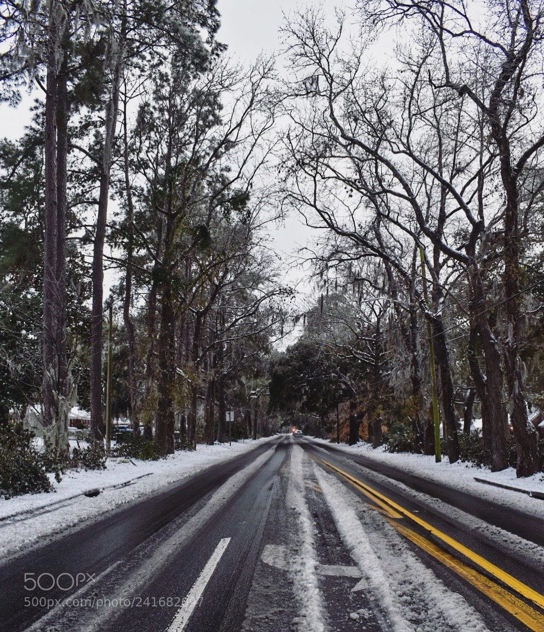 Nikon D5500 sample photo. Snow day in savannah photography