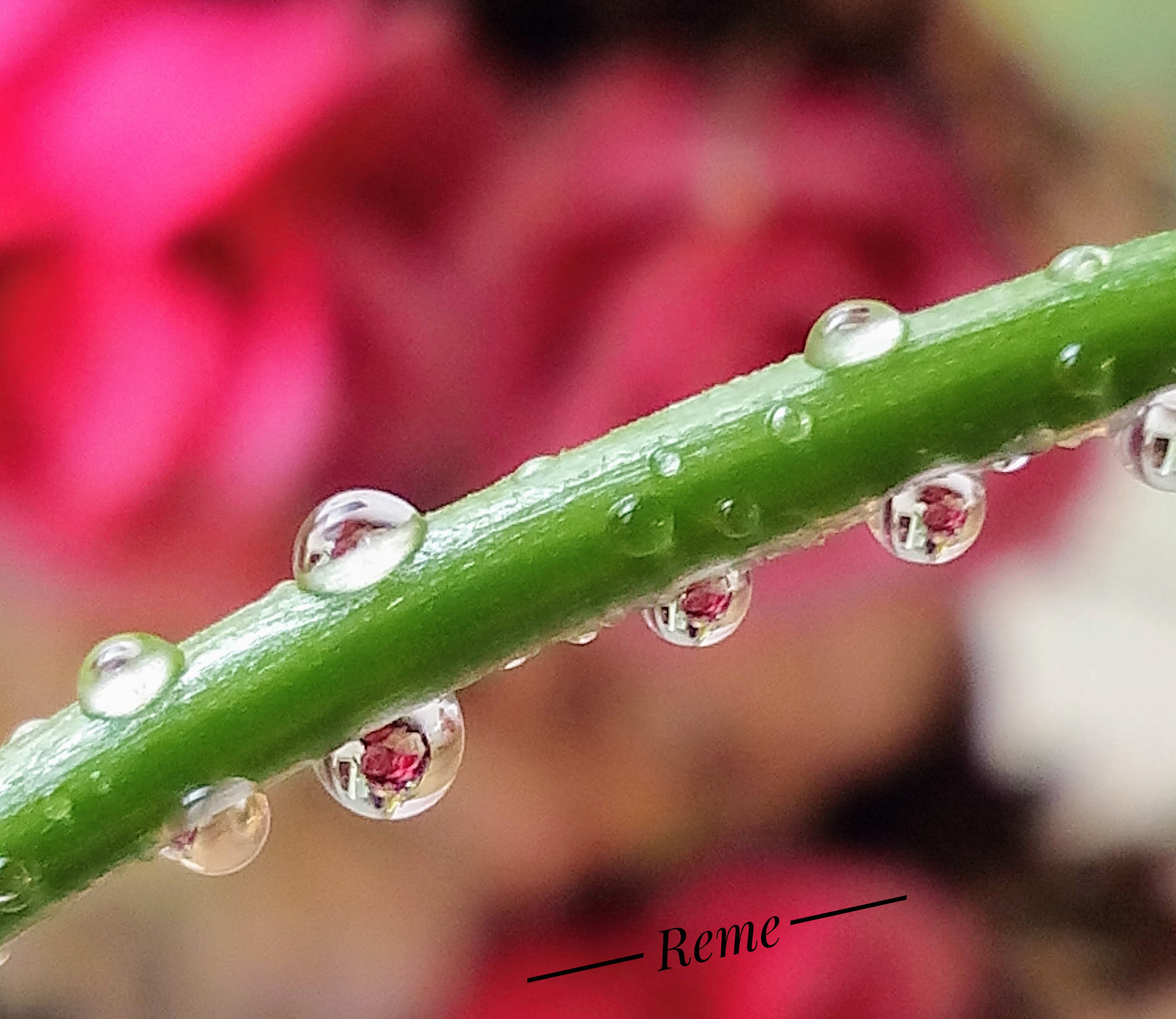 bq Aquaris E5 HD sample photo. Gotas photography