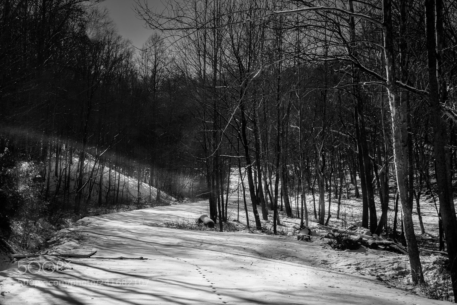 Nikon D7100 sample photo. Winter's highlights and shadows photography
